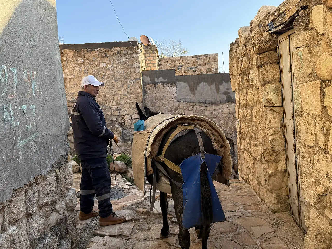 Teknoloji, kadrolu eşekleri emekliye ayırıyor
