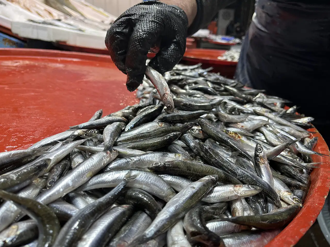 Geç soğuyan havalar Konya balıkçısını zorluyor