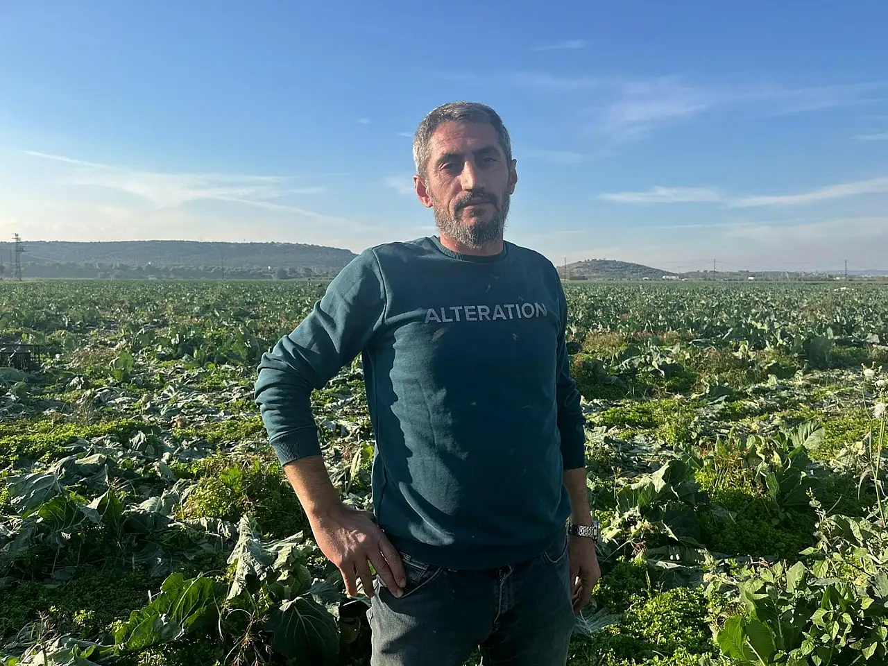 Üreticiyi 'Bolluk' vurdu: Fiyatlar düştü, hasat takvimi şaştı