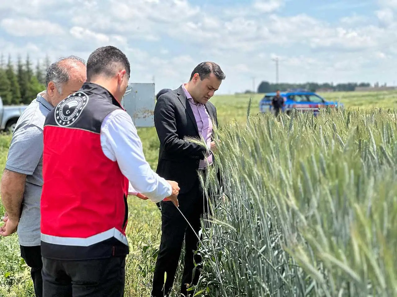 Konya'da tarımda yeni dönem! Alternatif ürünler sahada test ediliyor