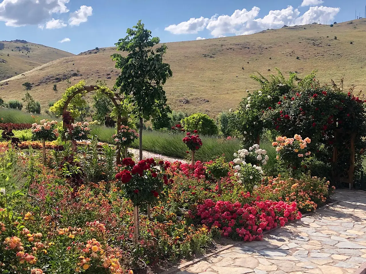 Konya'da huzur arayanların yeni değil vazgeçilmez adresi