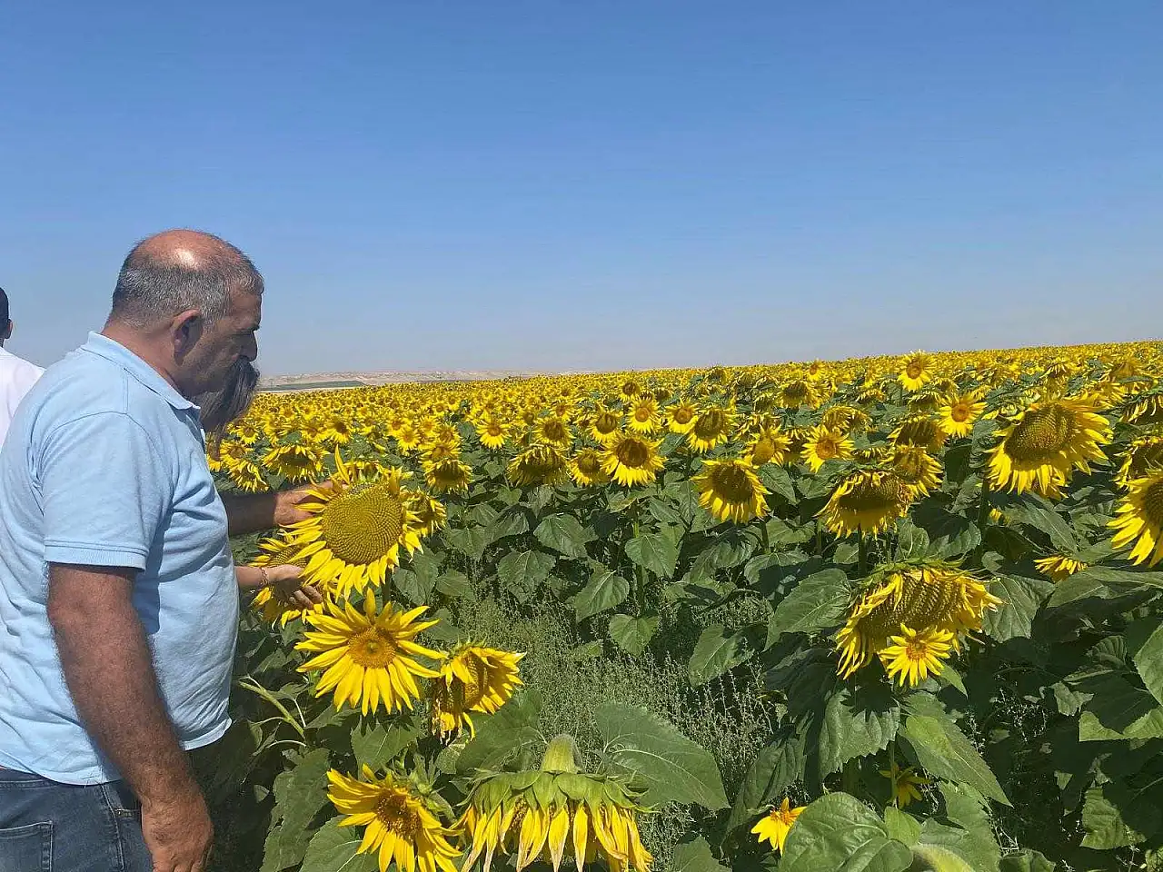 Konya'da ekipler bizzat sahaya indi: Tarım arazilerinde kritik inceleme