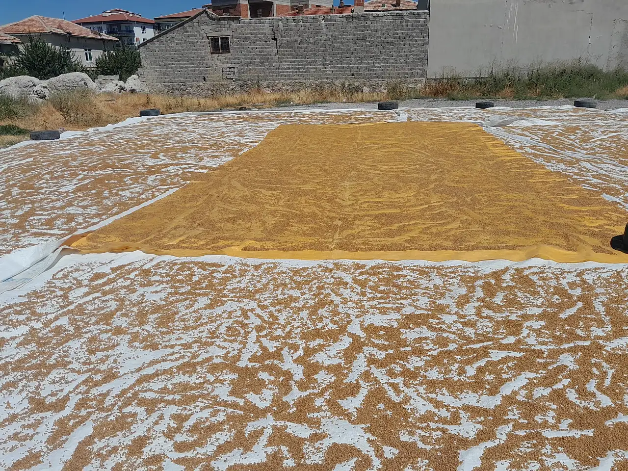 Hasat bitti, şimdi kazanlar kaynıyor! Konya'da günler süren telaş başladı