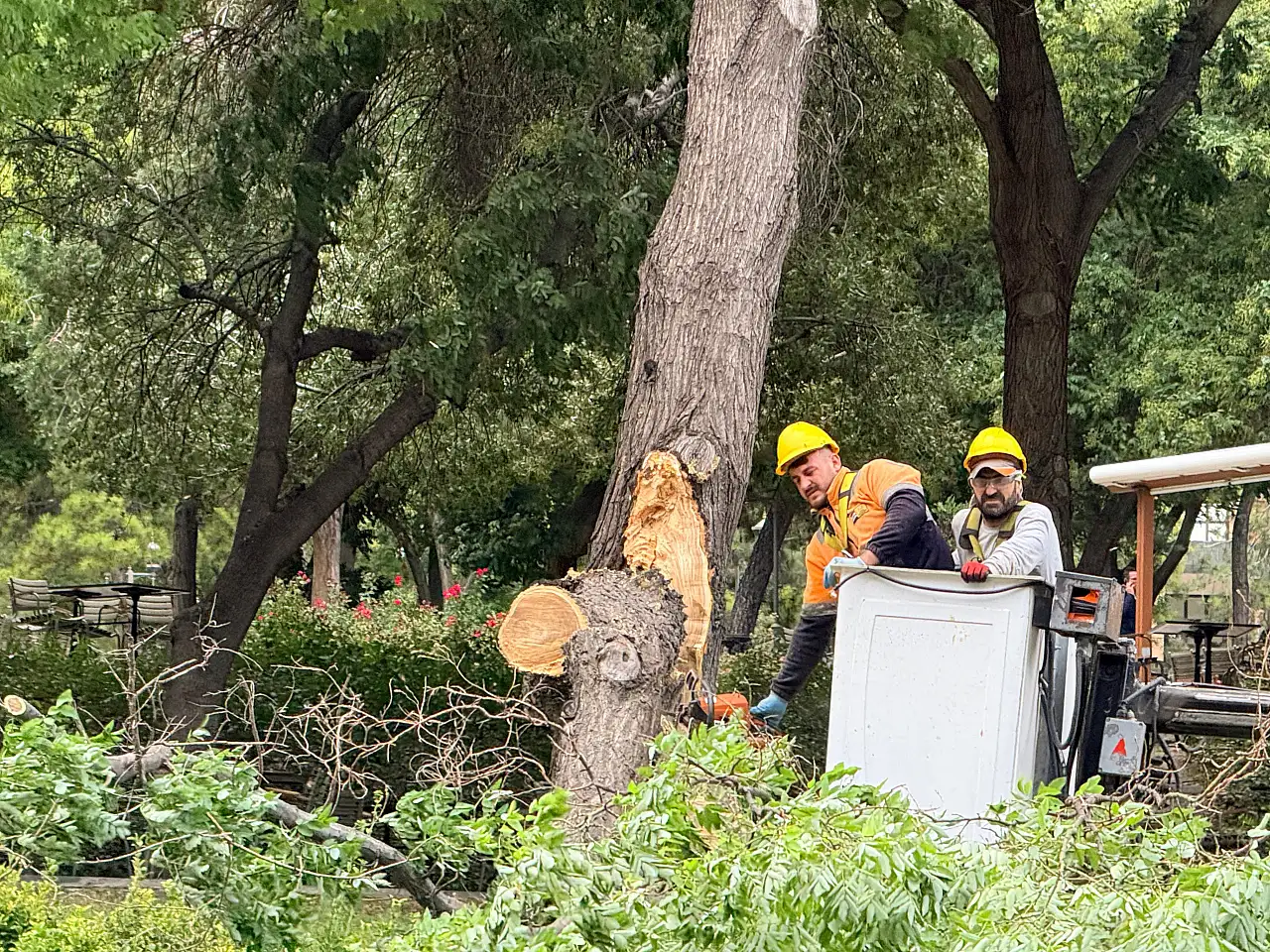 Konya'da fırtına tramvay ulaşımını vurdu: Ağaç katener hattına devrildi