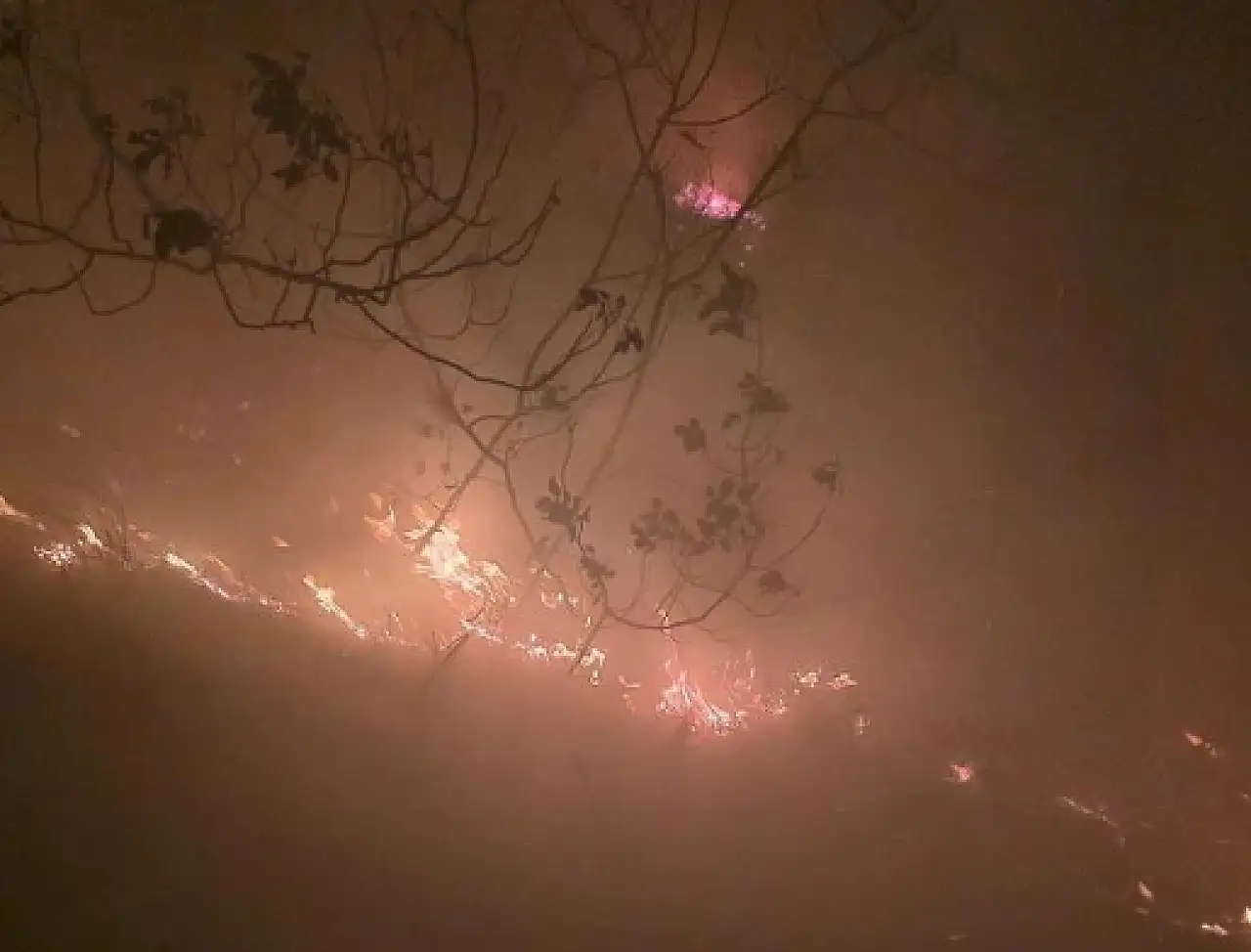 Ormanlık alandaki yangın 16 saat sonra kontrol altına alındı!