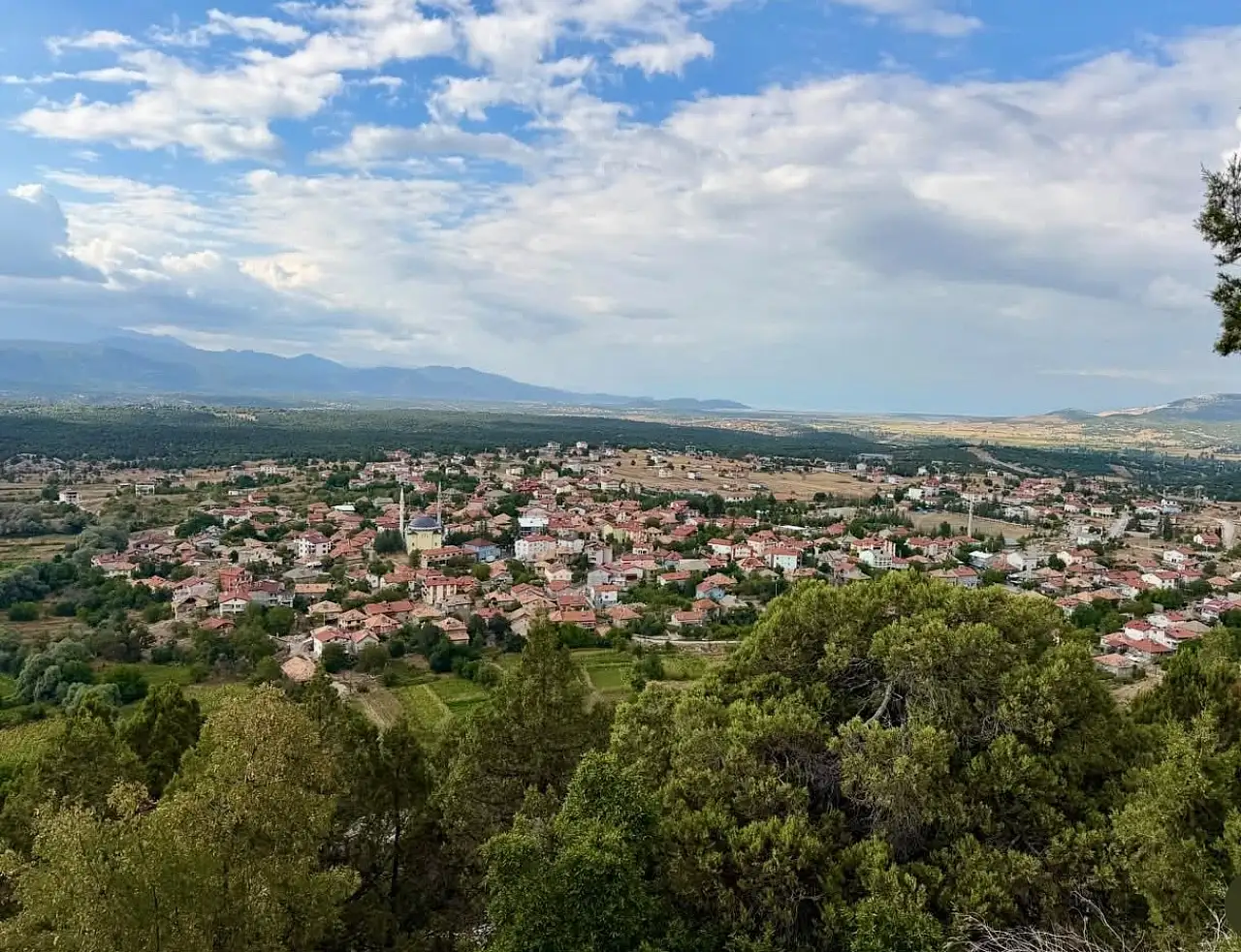 Konya'da 5 ay önce kaybetmişti! Yürekleri ısıtan insanlık dersini çoban verdi