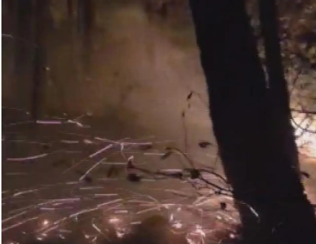 Ormanlık alandaki yangın 16 saat sonra kontrol altına alındı!