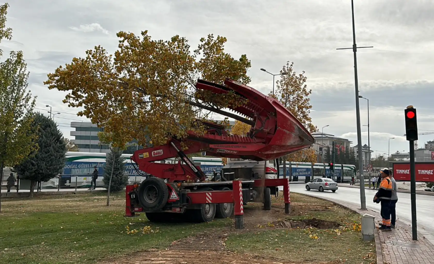 Konya'da sökülen ağaçlar yeniden hayat buluyor: 'Doğaya ve yeşile duyarlı davranıyoruz'