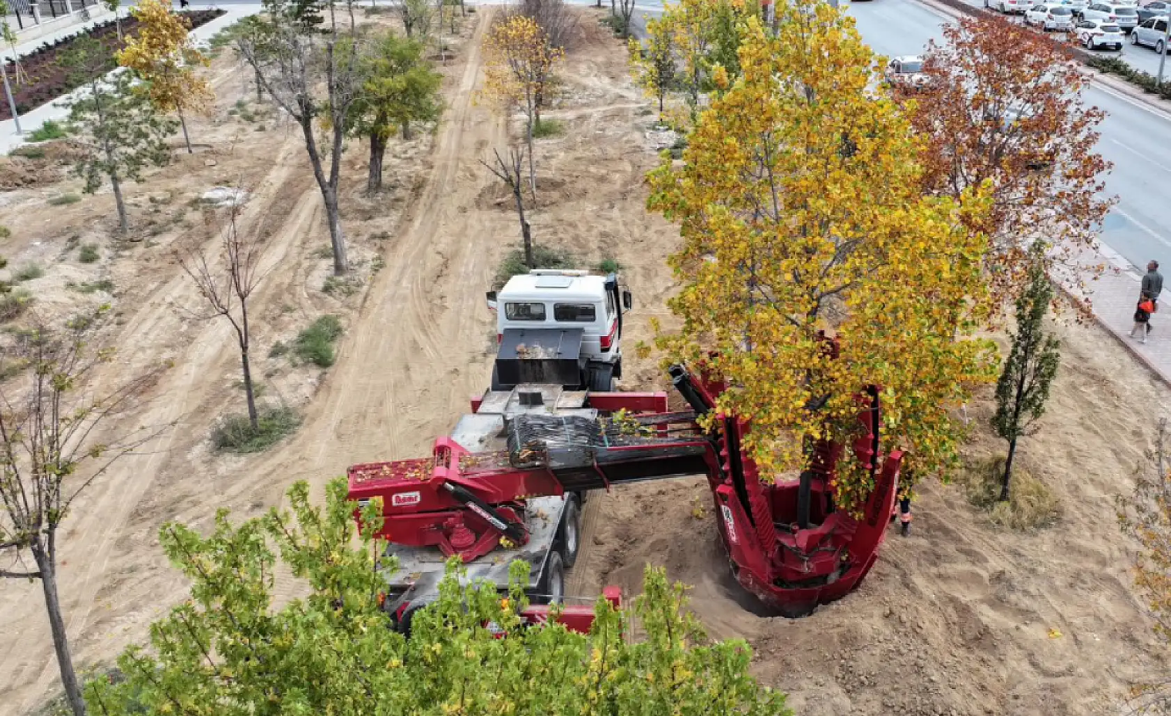 Konya'da sökülen ağaçlar yeniden hayat buluyor: 'Doğaya ve yeşile duyarlı davranıyoruz'