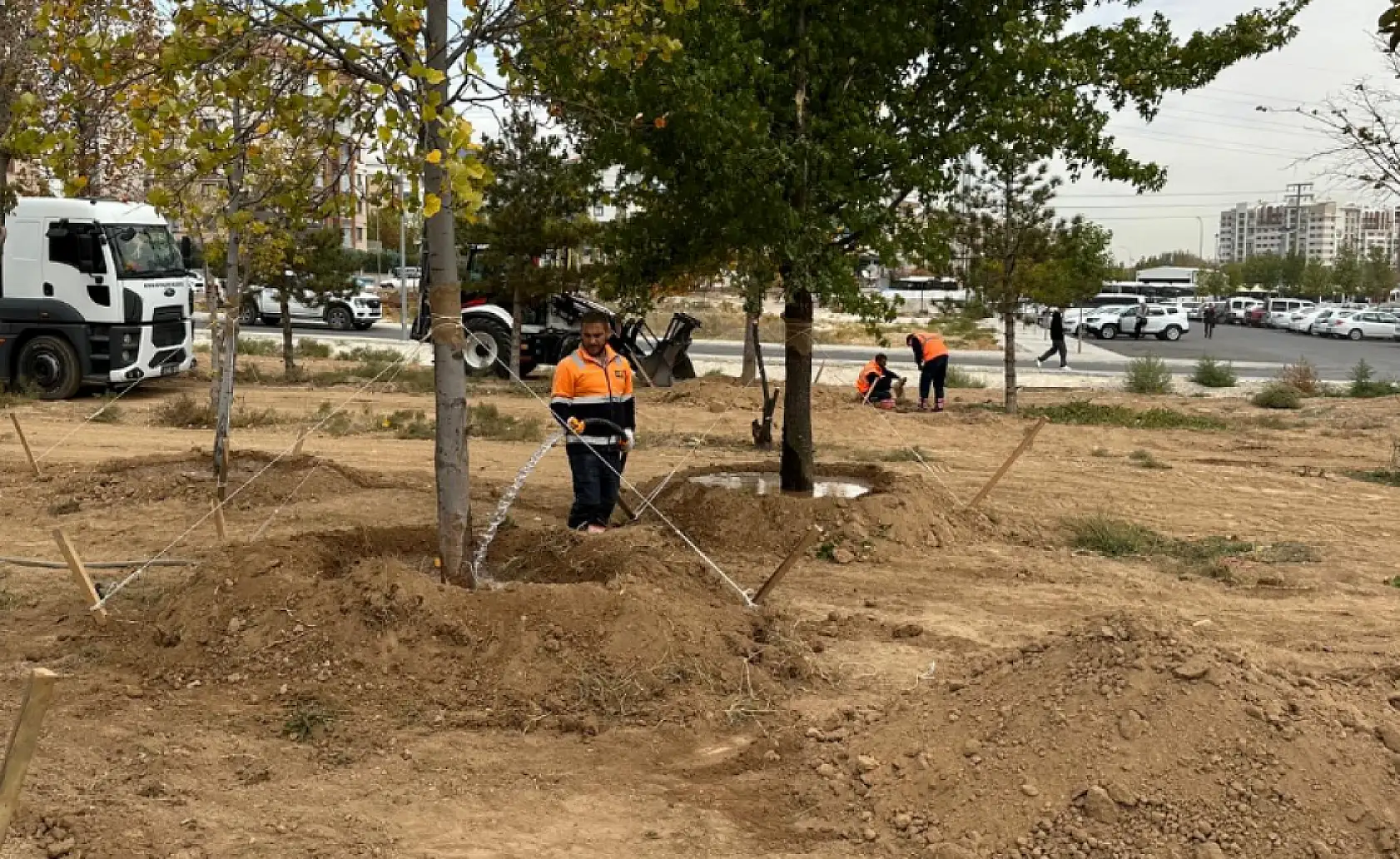 Konya'da sökülen ağaçlar yeniden hayat buluyor: 'Doğaya ve yeşile duyarlı davranıyoruz'