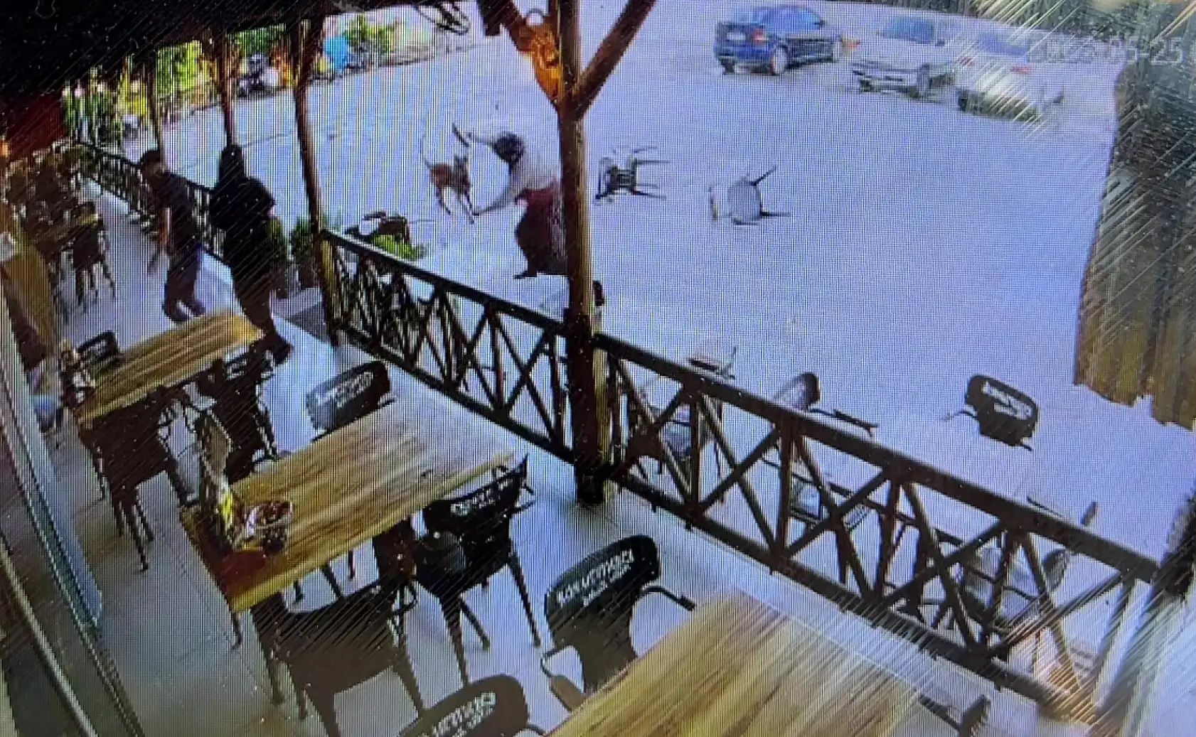 Afyonkarahisar'da köpek dehşeti: Kadının kolu koptu!