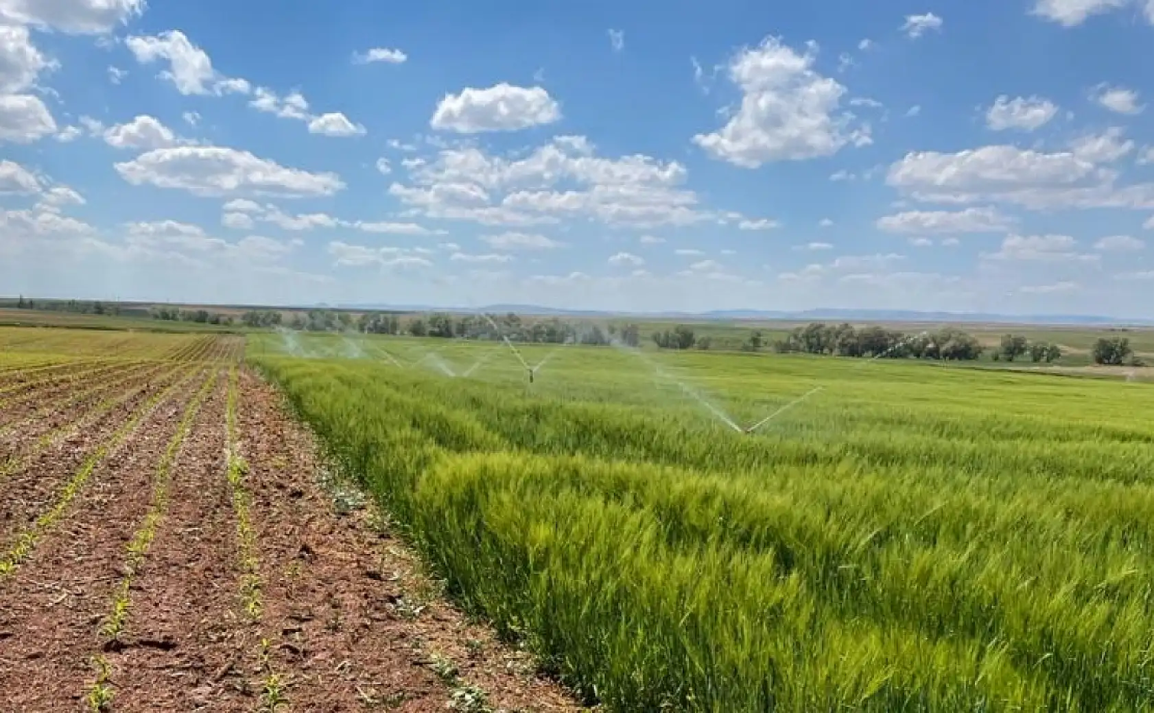 Konya'nın kuraklık kaderi akıllı sulama ile değişiyor