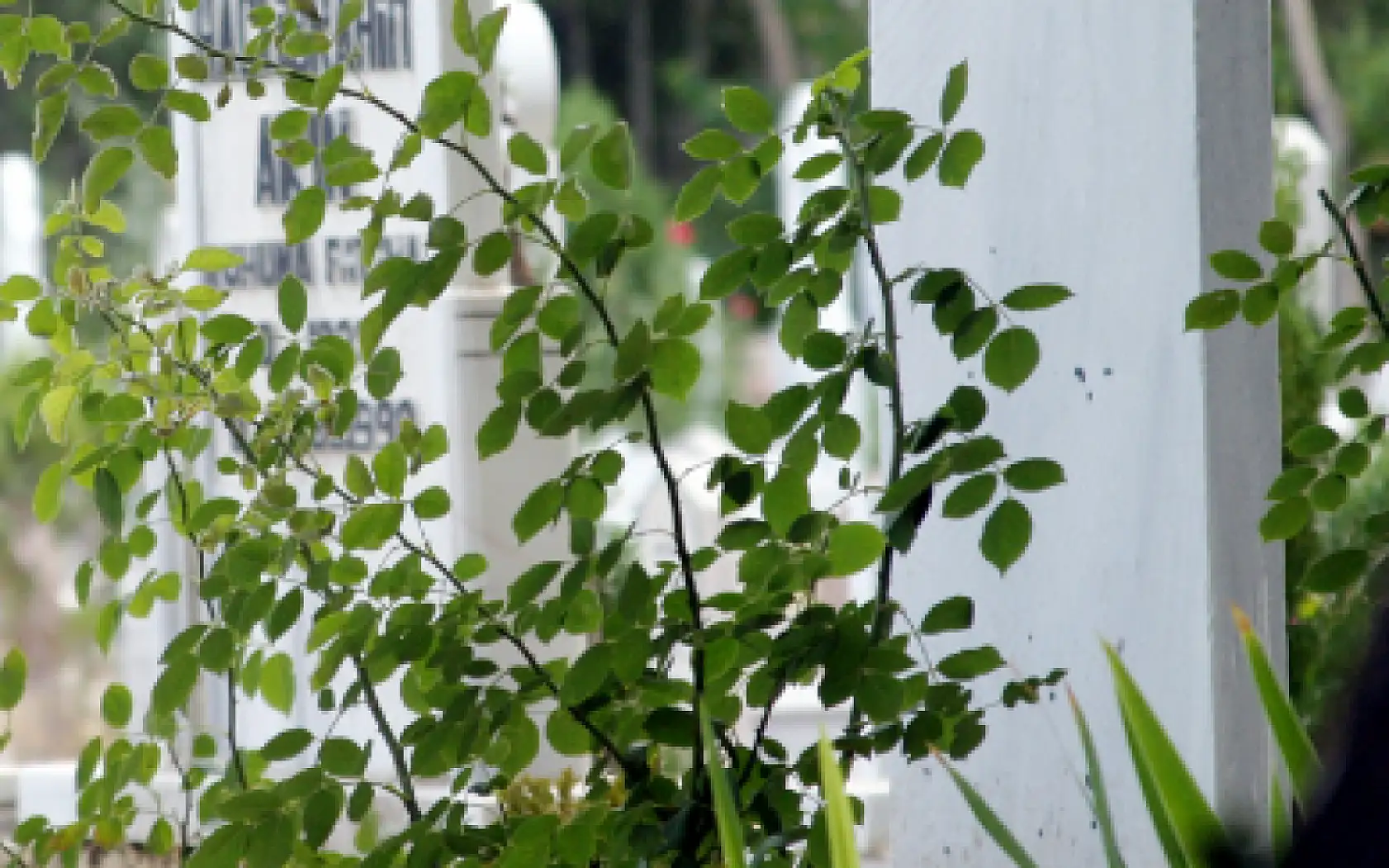 Konya'da bugün hayatını kaybedenler belli oldu!