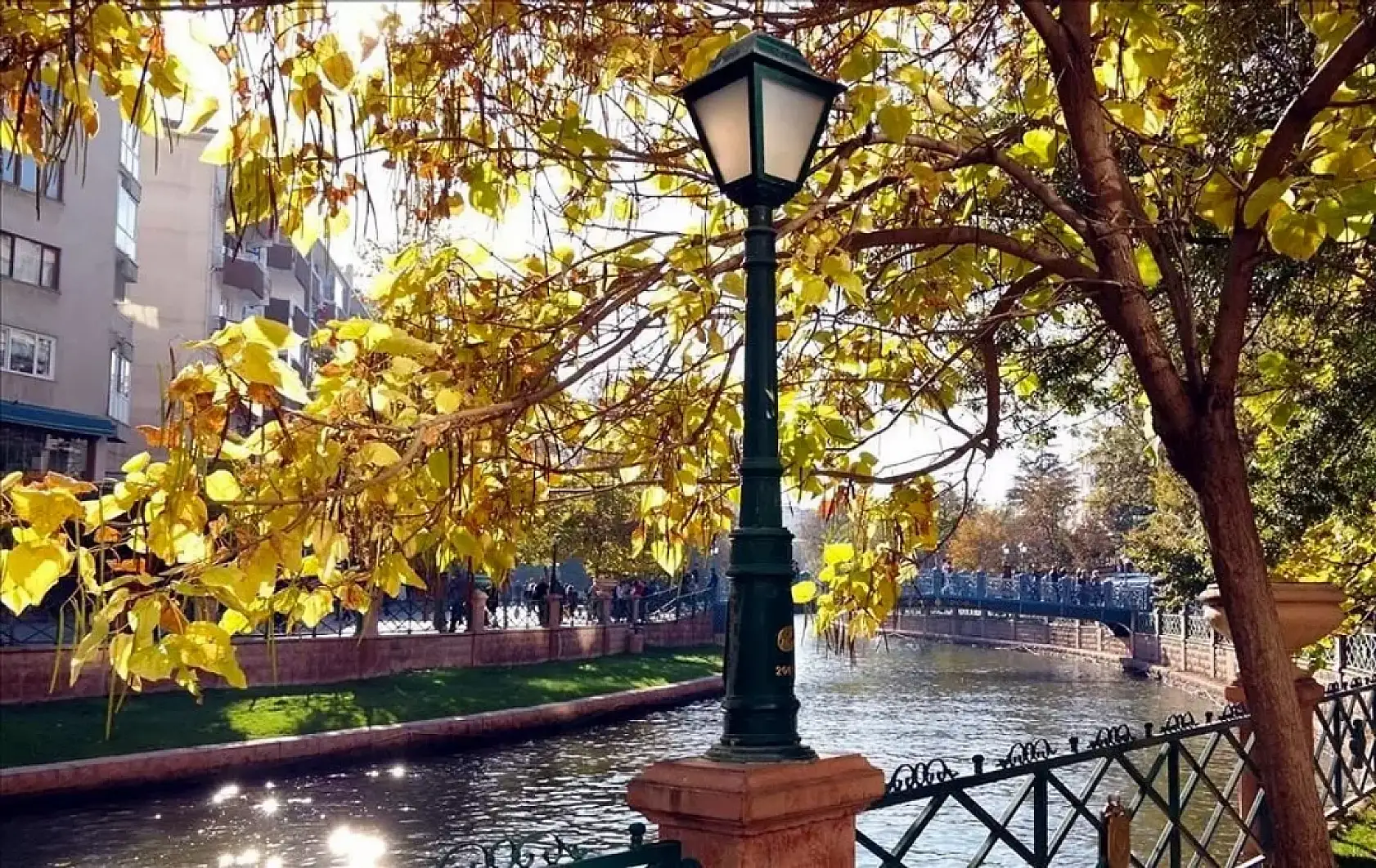 Konya'da aralarında: Türkiye'nin en zeki şehirlerin sıralaması belli oldu!