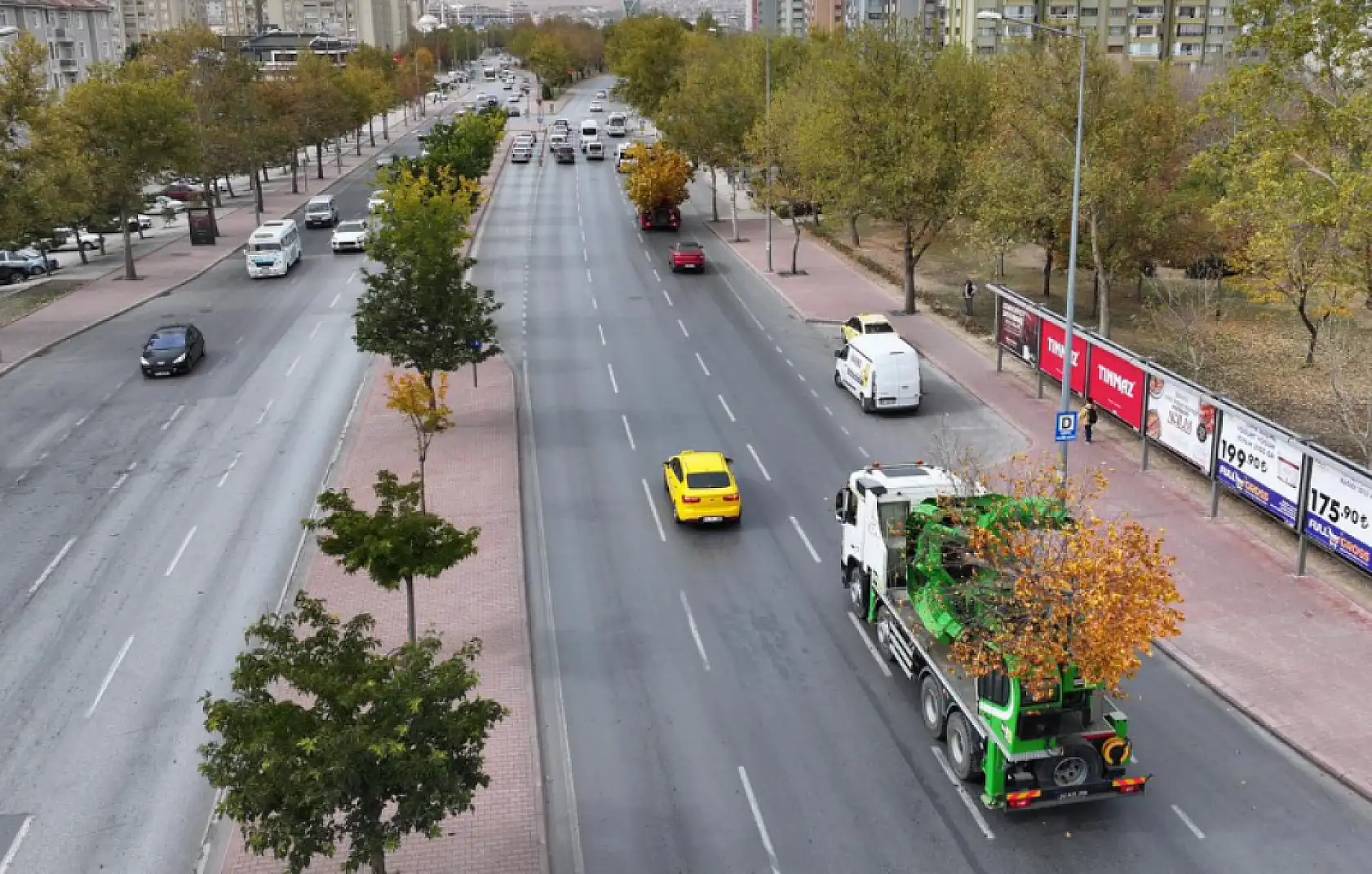 Konya'da sökülen ağaçlar yeniden hayat buluyor: 'Doğaya ve yeşile duyarlı davranıyoruz'