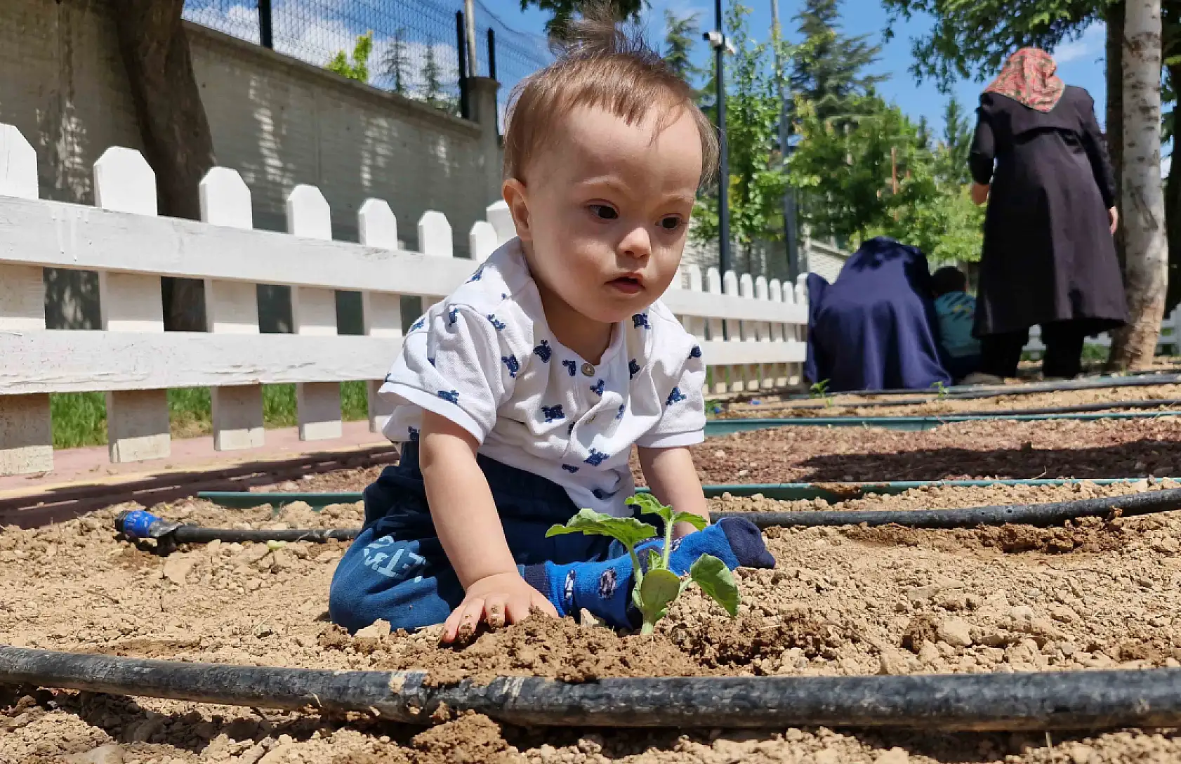 Konya'da minik eller toprağa umut ekti