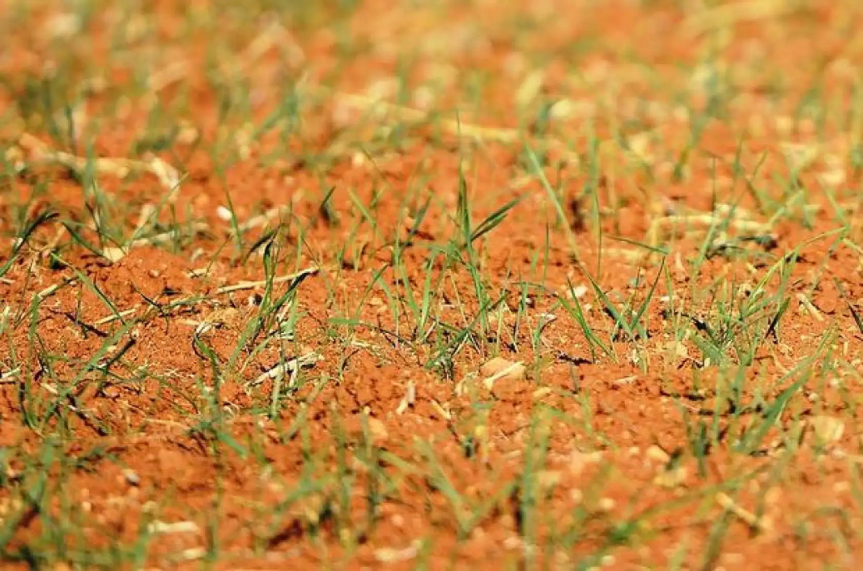 Kuraklık haritası yayınlandı: Konya'yı olağanüstü bir kuraklık mı bekliyor?