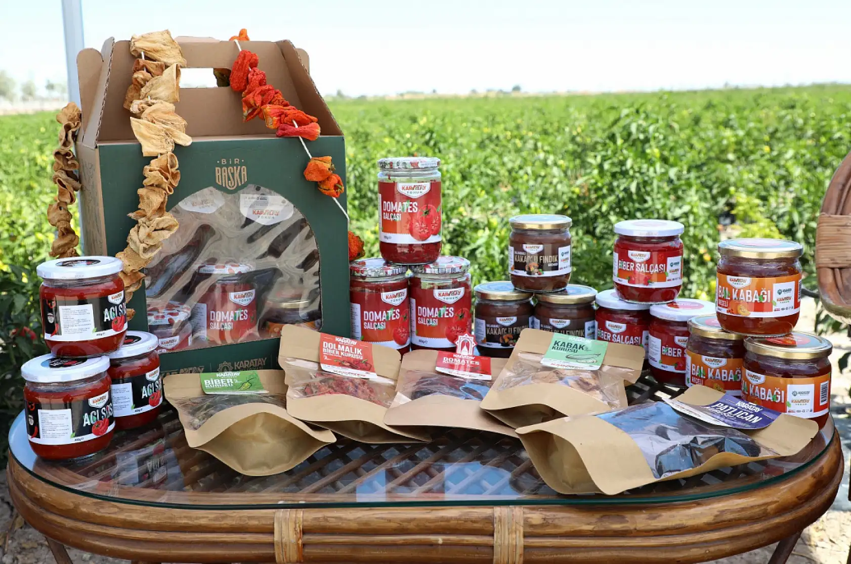 Binlerce Yıllık Ata Tohumları Karatay'da Hayat Buluyor