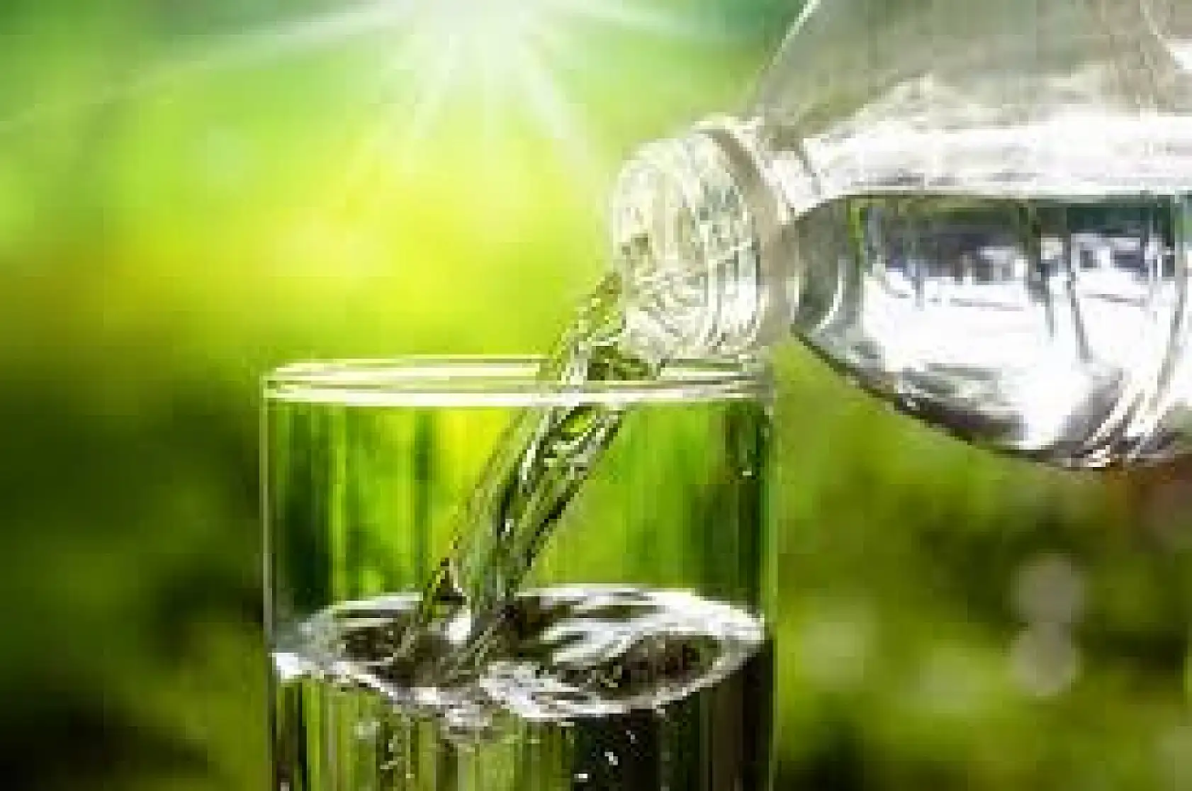 Su İçmenin Faydaları Saymakla Bitmiyor