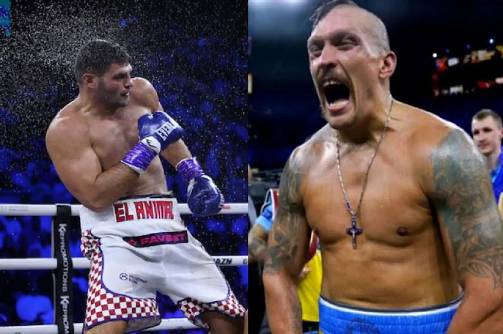 Filip Hrgovic. Dünya şampiyonunu yenebileceğini iddia etti!.. İşte detaylar…