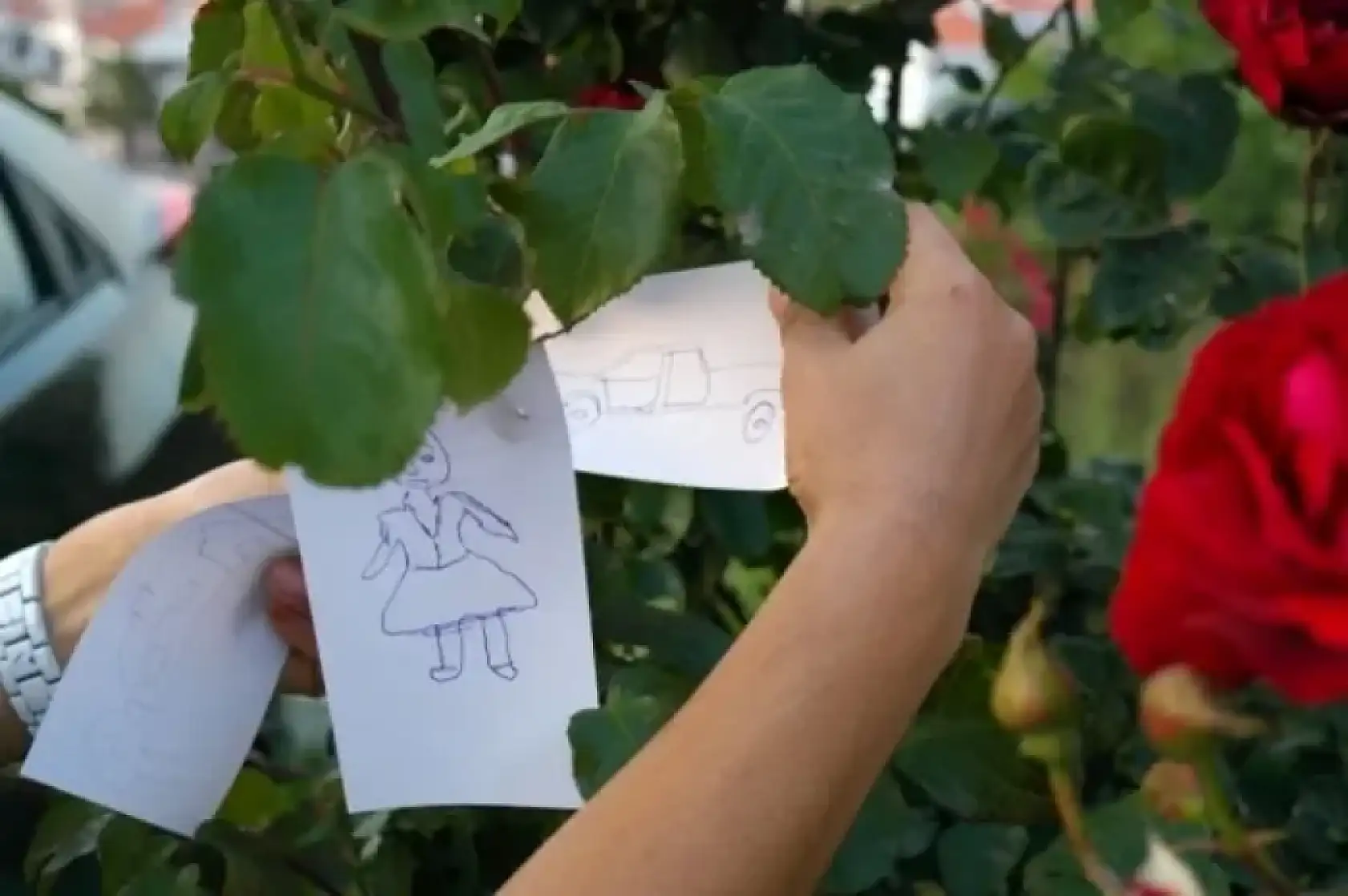 Hıdırellez nedir? 2025 Hıdırellez duası, ritüelleri ve batıl inançlar hakkında merak edilenler