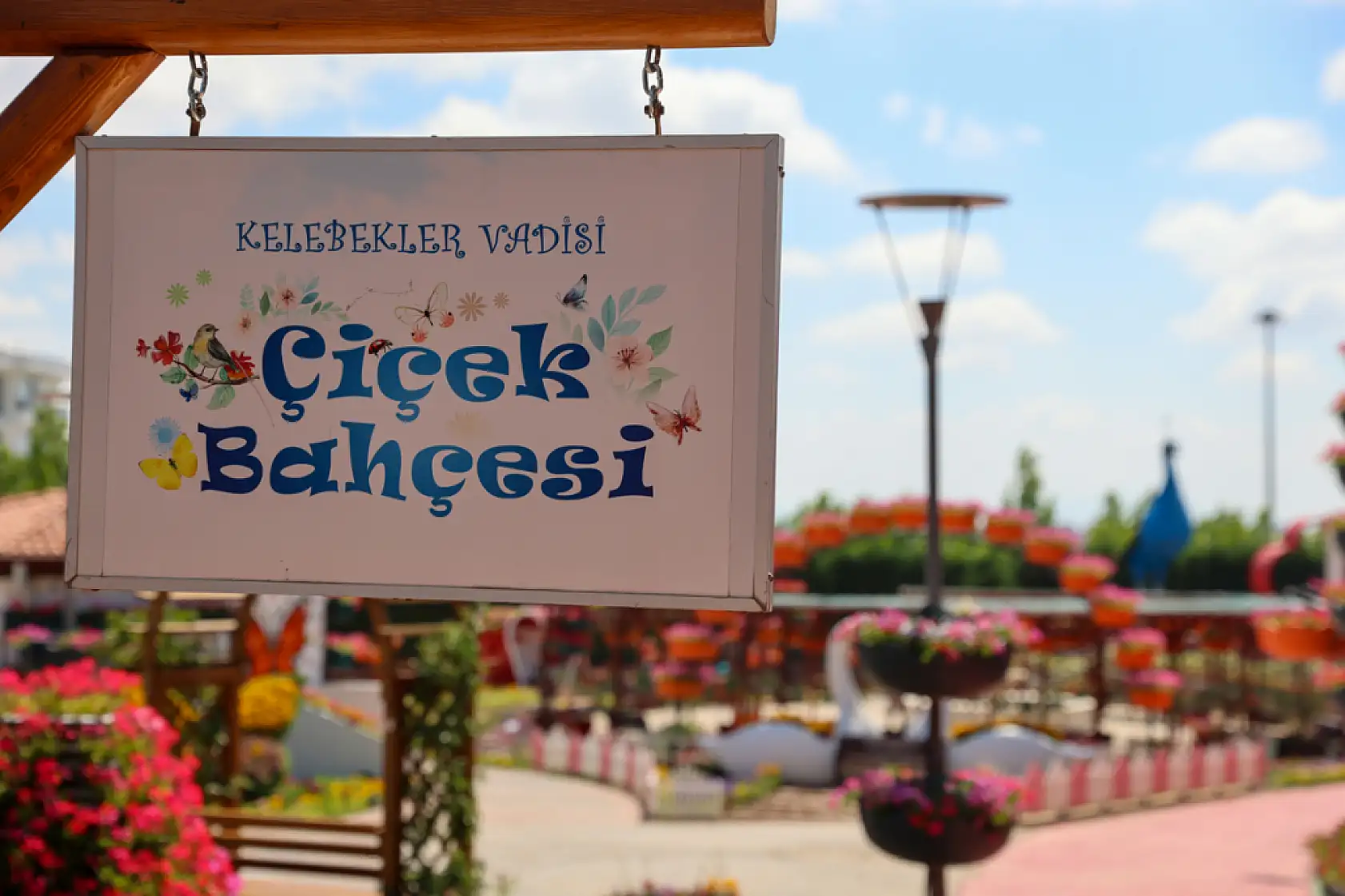 Konya'daki o park yüzünden telefon hafızaları doldu!