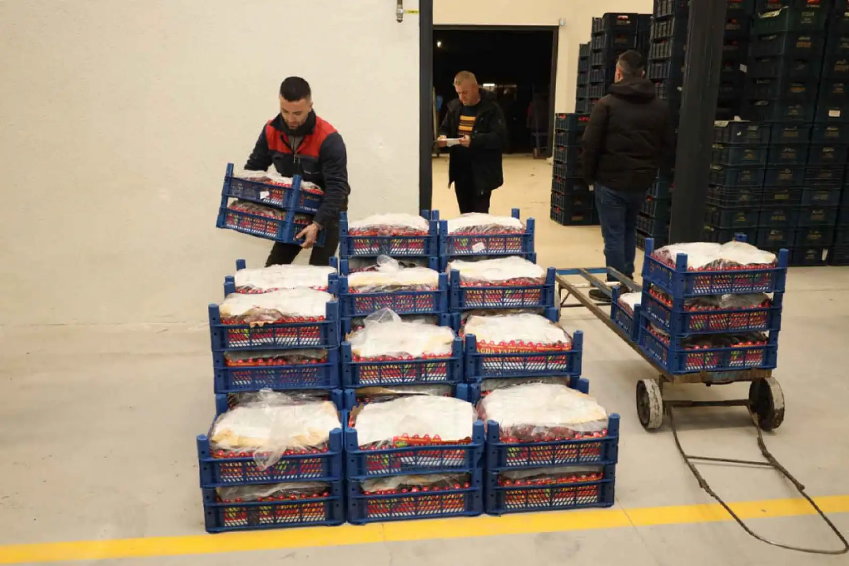 Konya Halinin Şampiyonları: Çilek ve Bamya Zirvede