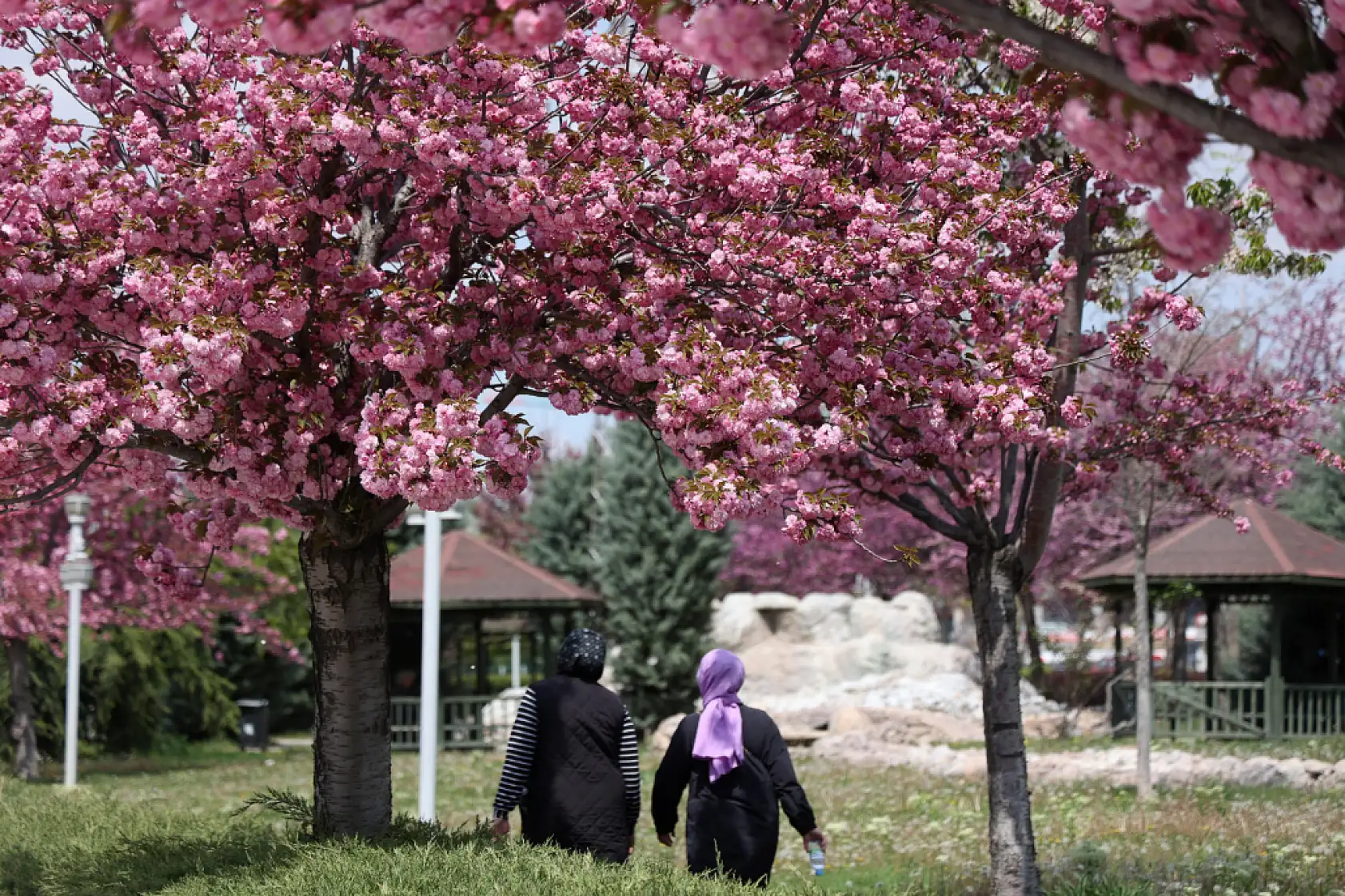 Konya mı, Kyoto mu? Kimse buranın İç Anadolu olduğuna inanmıyor!