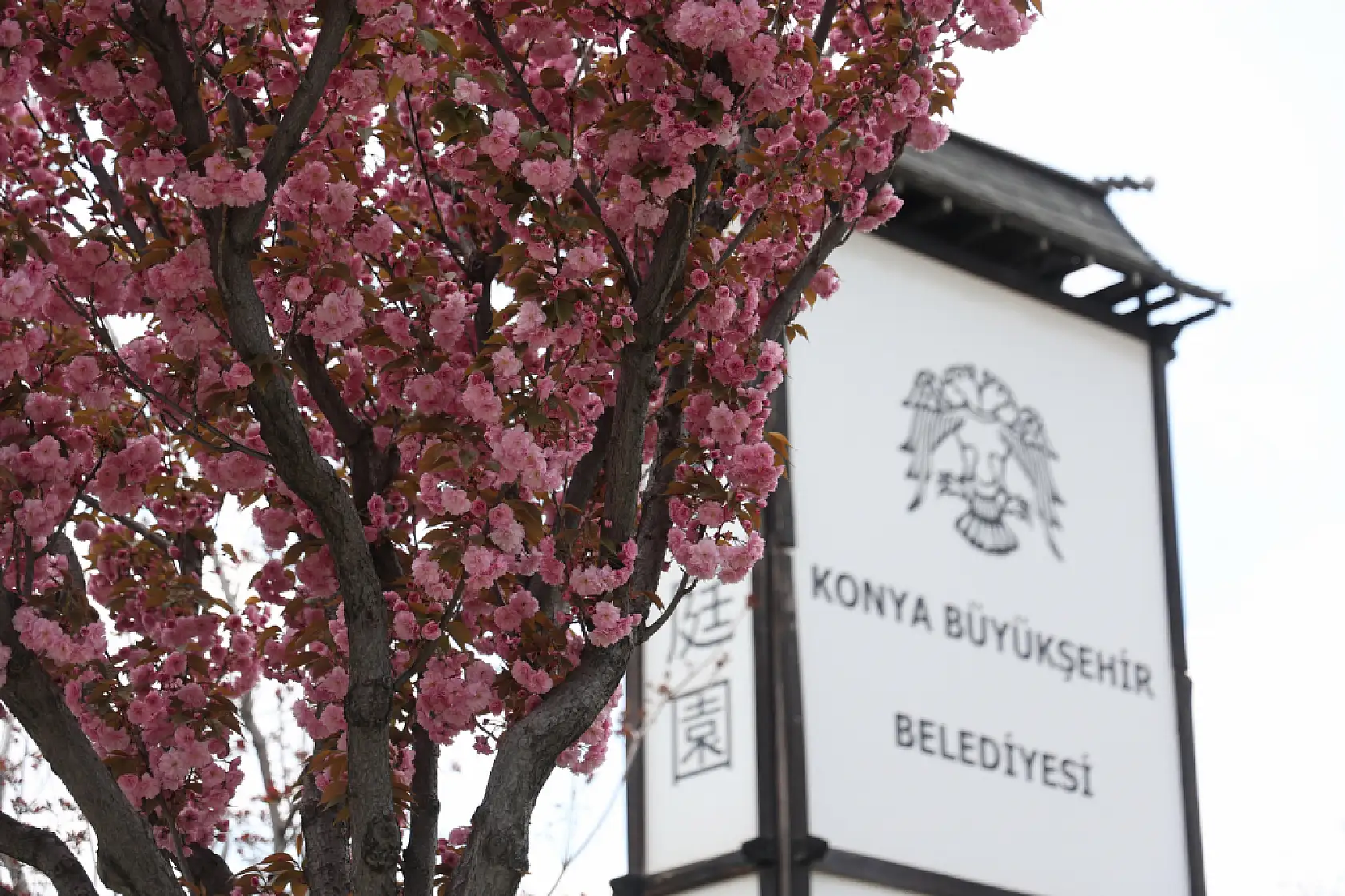 Konya mı, Kyoto mu? Kimse buranın İç Anadolu olduğuna inanmıyor!