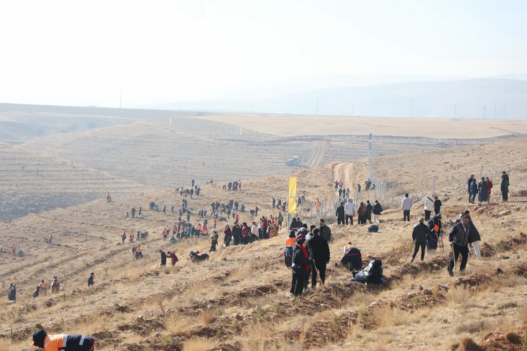 Minik eller geleceğe nefes oldu: Konya'da 15 bin yeni fidan toprakla buluştu