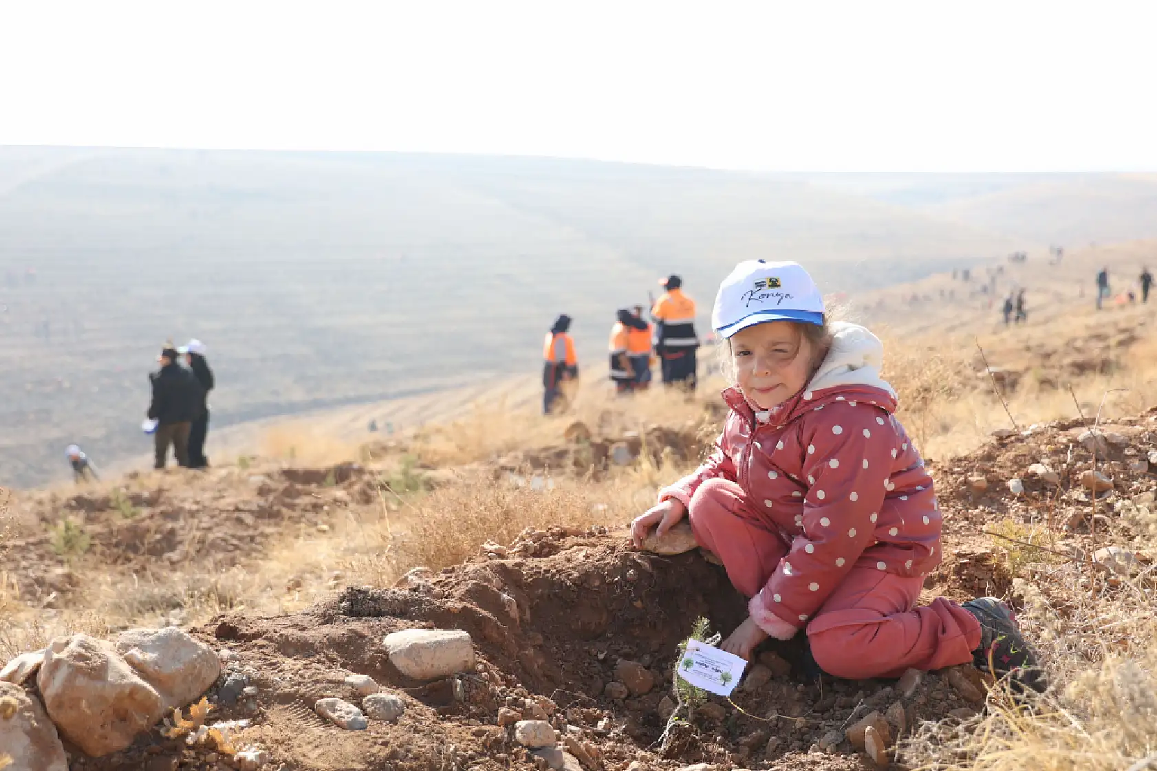 Minik eller geleceğe nefes oldu: Konya'da 15 bin yeni fidan toprakla buluştu