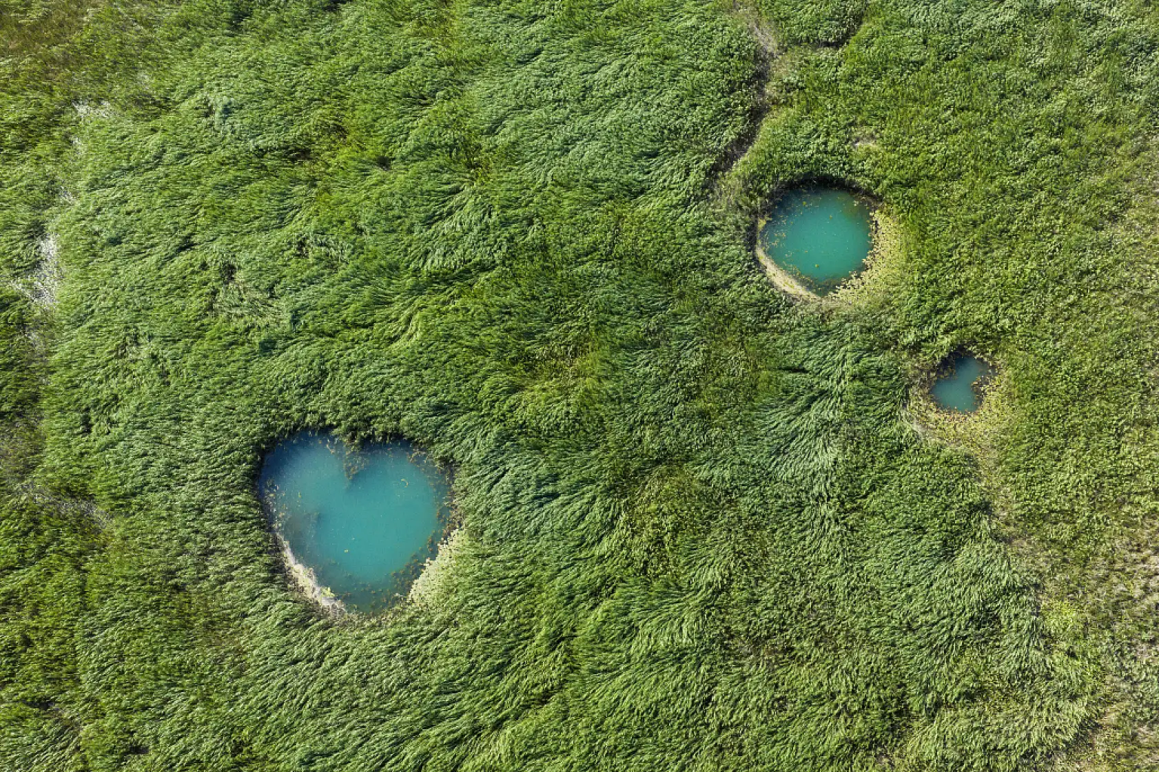 Beyşehir Gölü'nde şaşırtan manzara: Sular çekildi, gözeler ortaya çıktı!