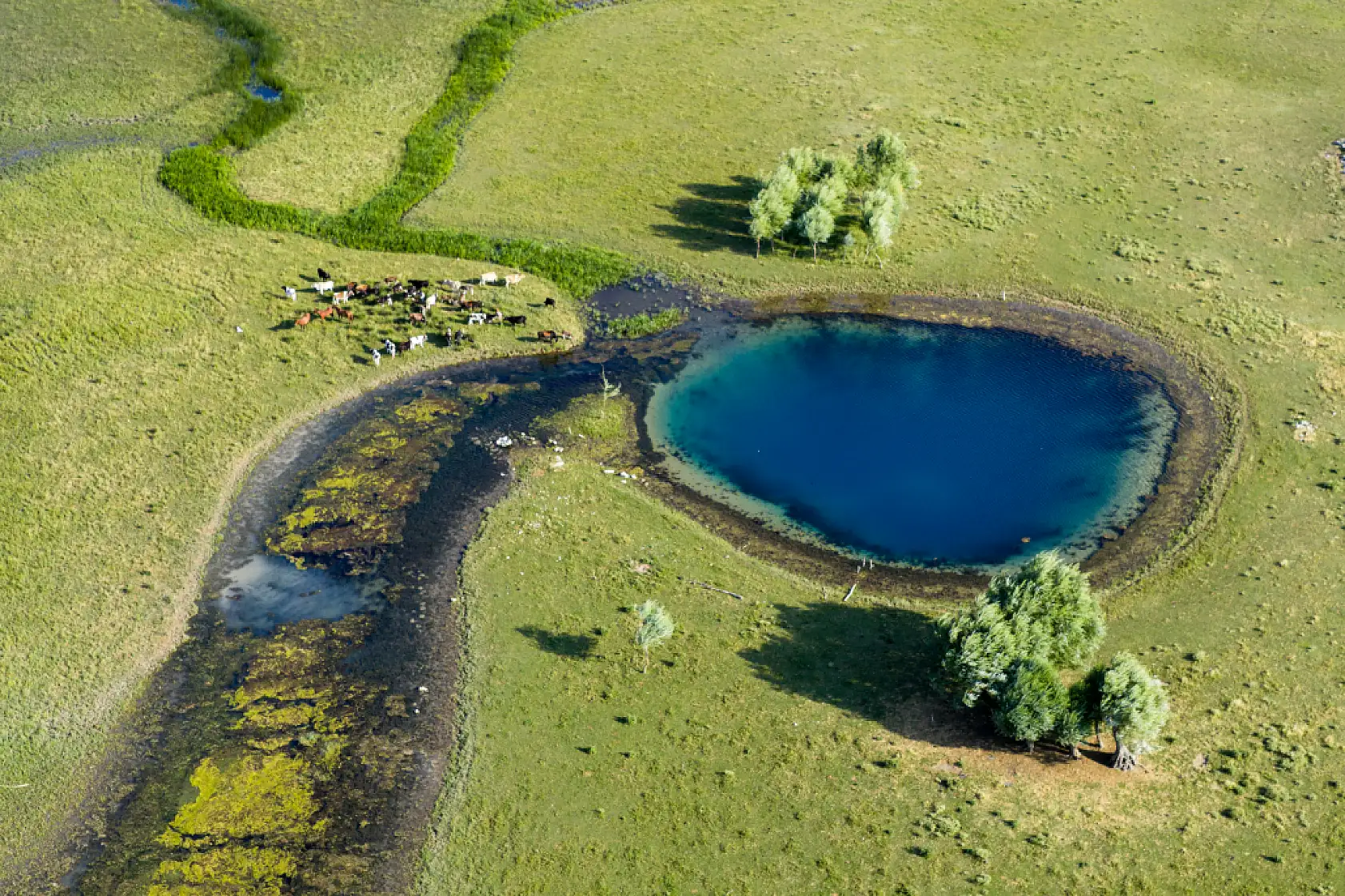 Beyşehir Gölü'nde şaşırtan manzara: Sular çekildi, gözeler ortaya çıktı!