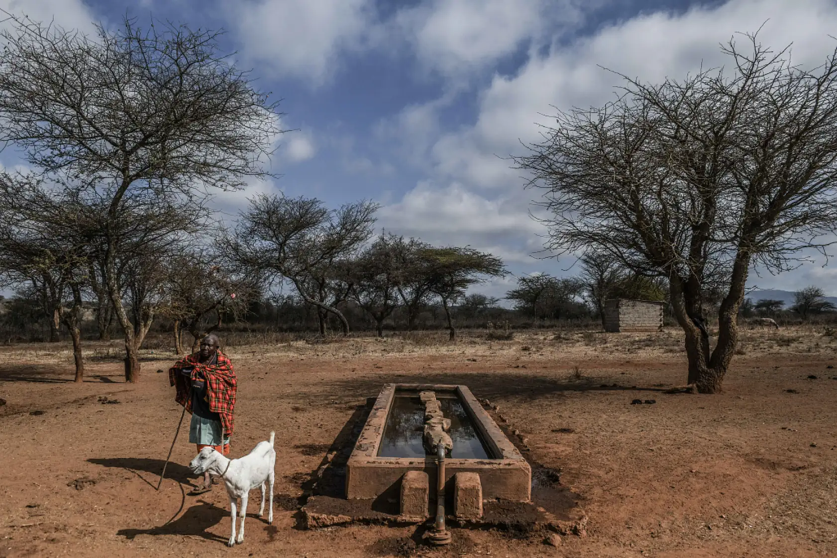 İklim değişikliği hayvancılıkla uğraşan halkı olumsuz etkiliyor