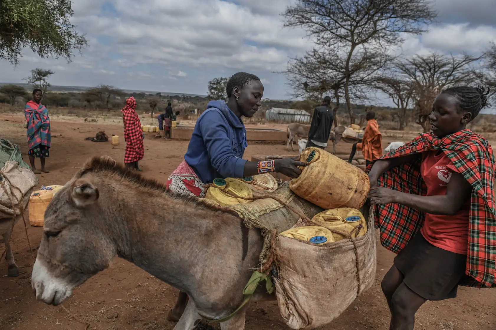 İklim değişikliği hayvancılıkla uğraşan halkı olumsuz etkiliyor