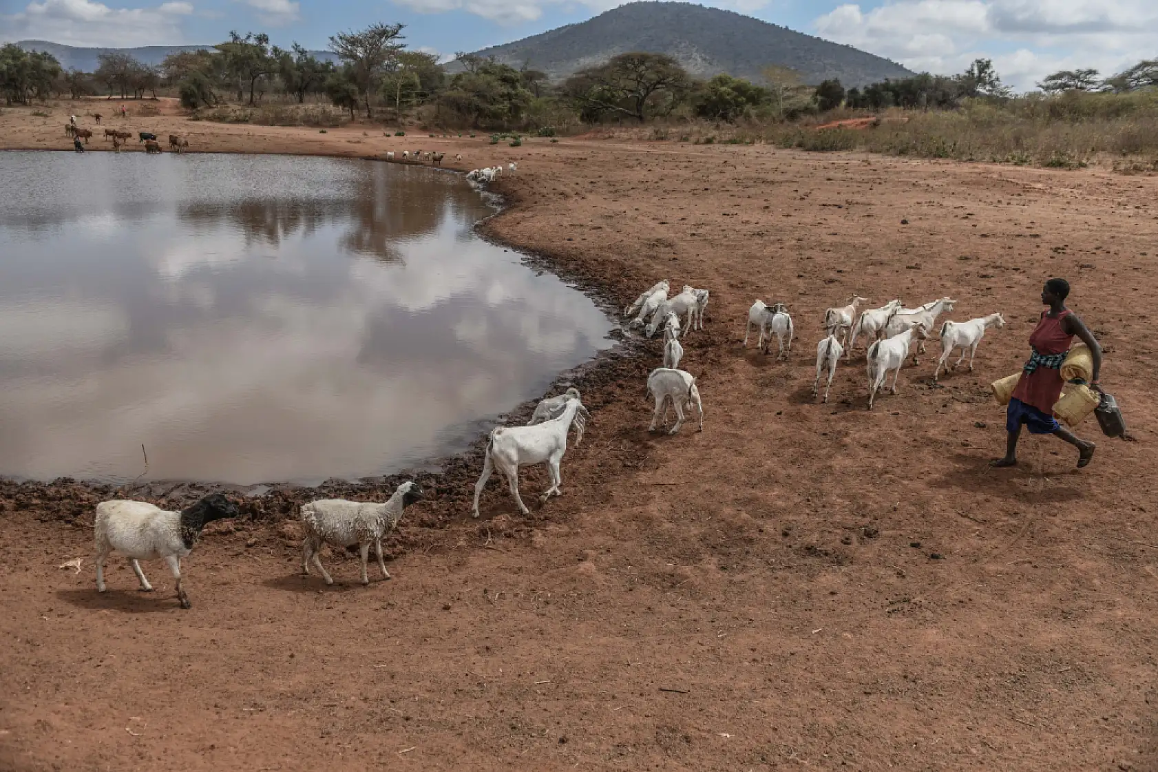 İklim değişikliği hayvancılıkla uğraşan halkı olumsuz etkiliyor