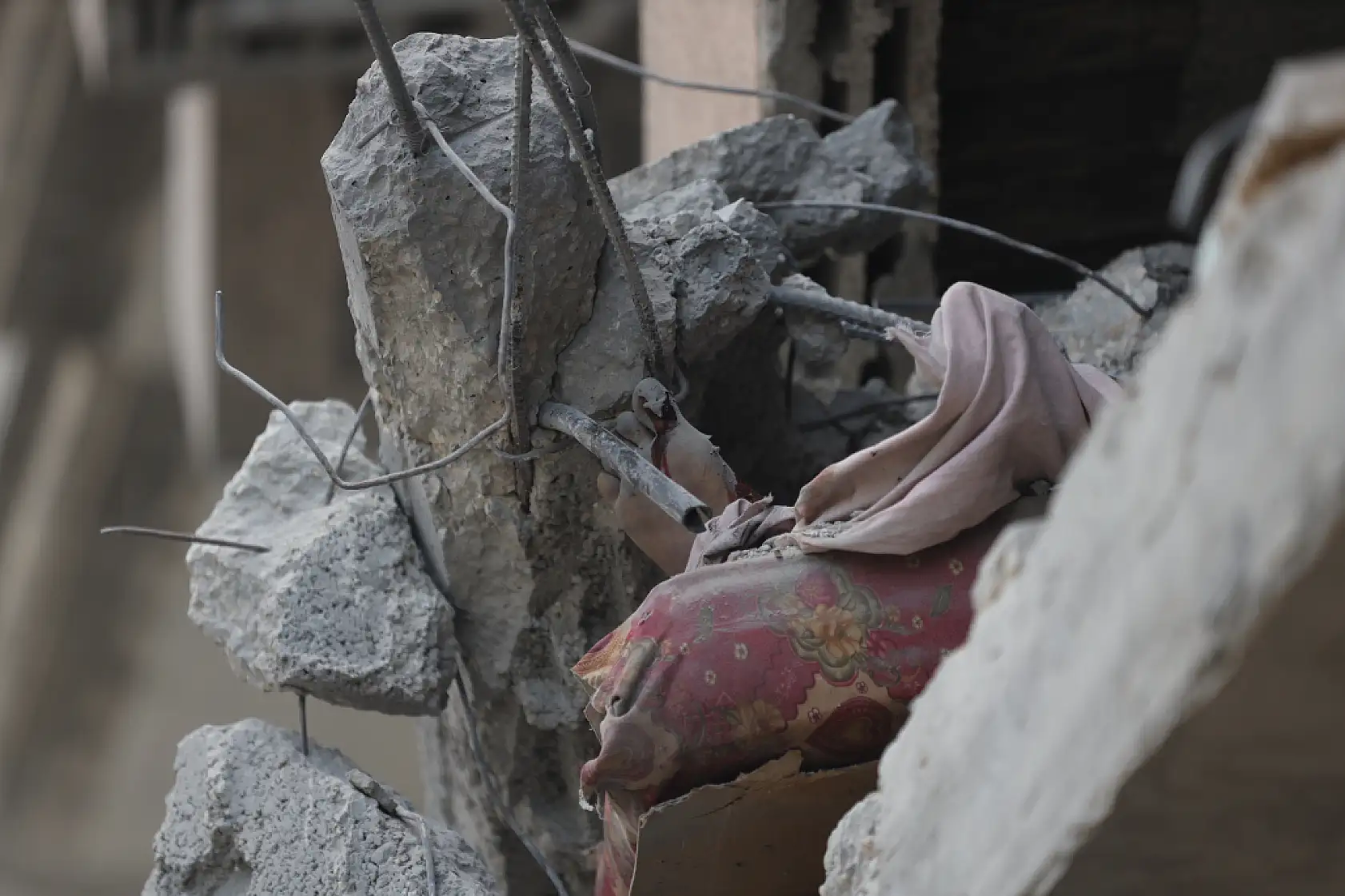 Gazze'de saldırılar sürüyor