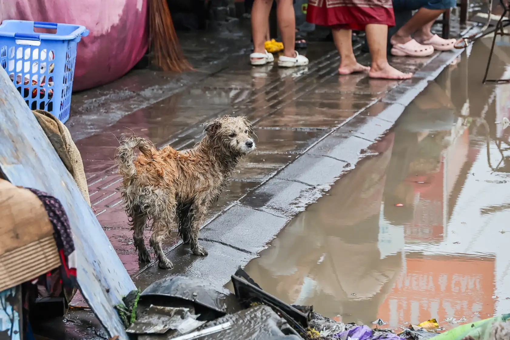 Şiddetli yağışlar sele yol açtı: 6 kişi hayatını kaybetti