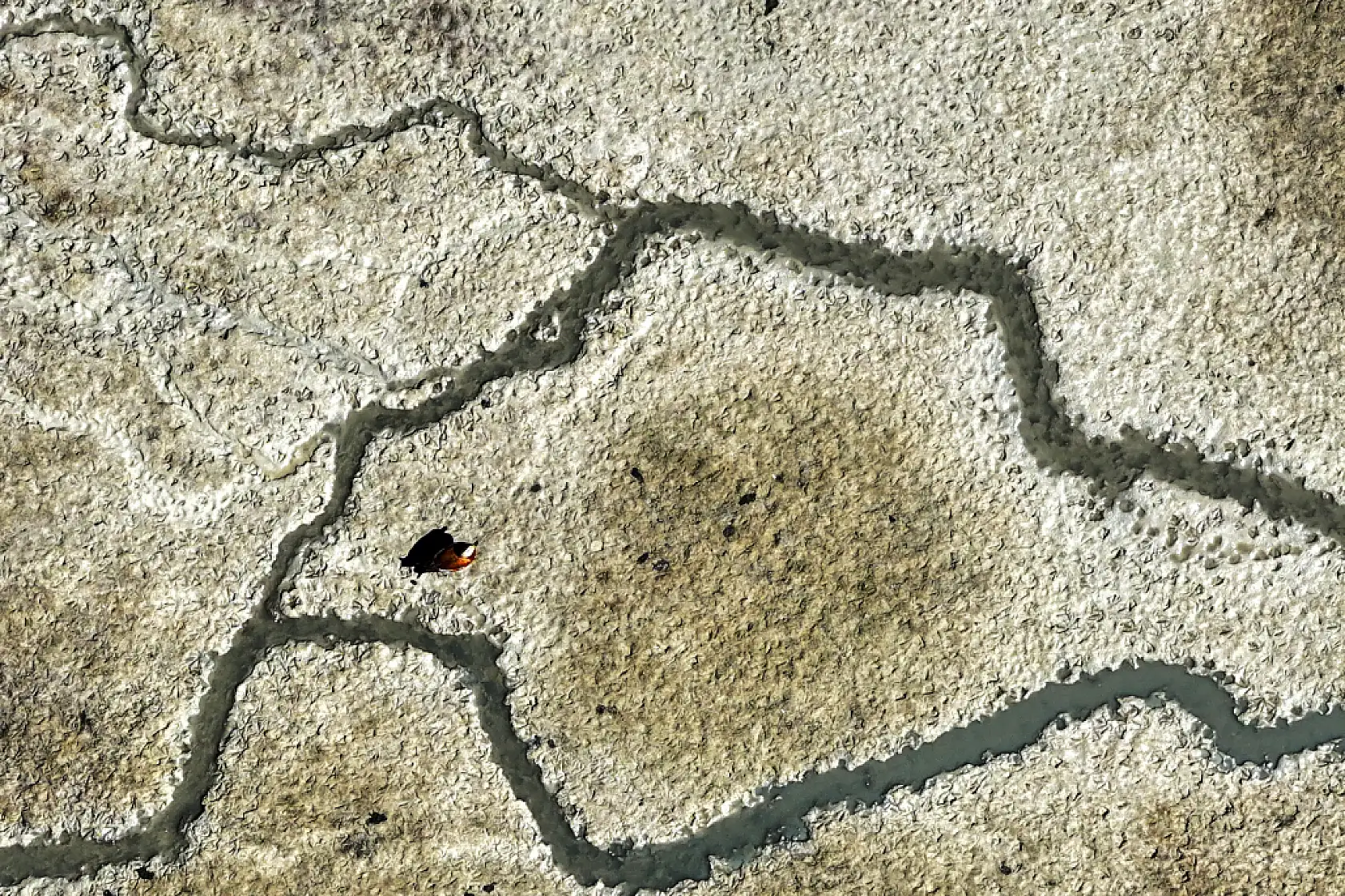 Konya'da su krizi derinleşiyor: Kuraklık baraj ve gölleri vurdu