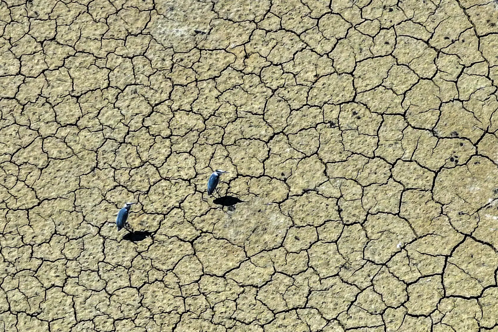 Konya'da su krizi derinleşiyor: Kuraklık baraj ve gölleri vurdu