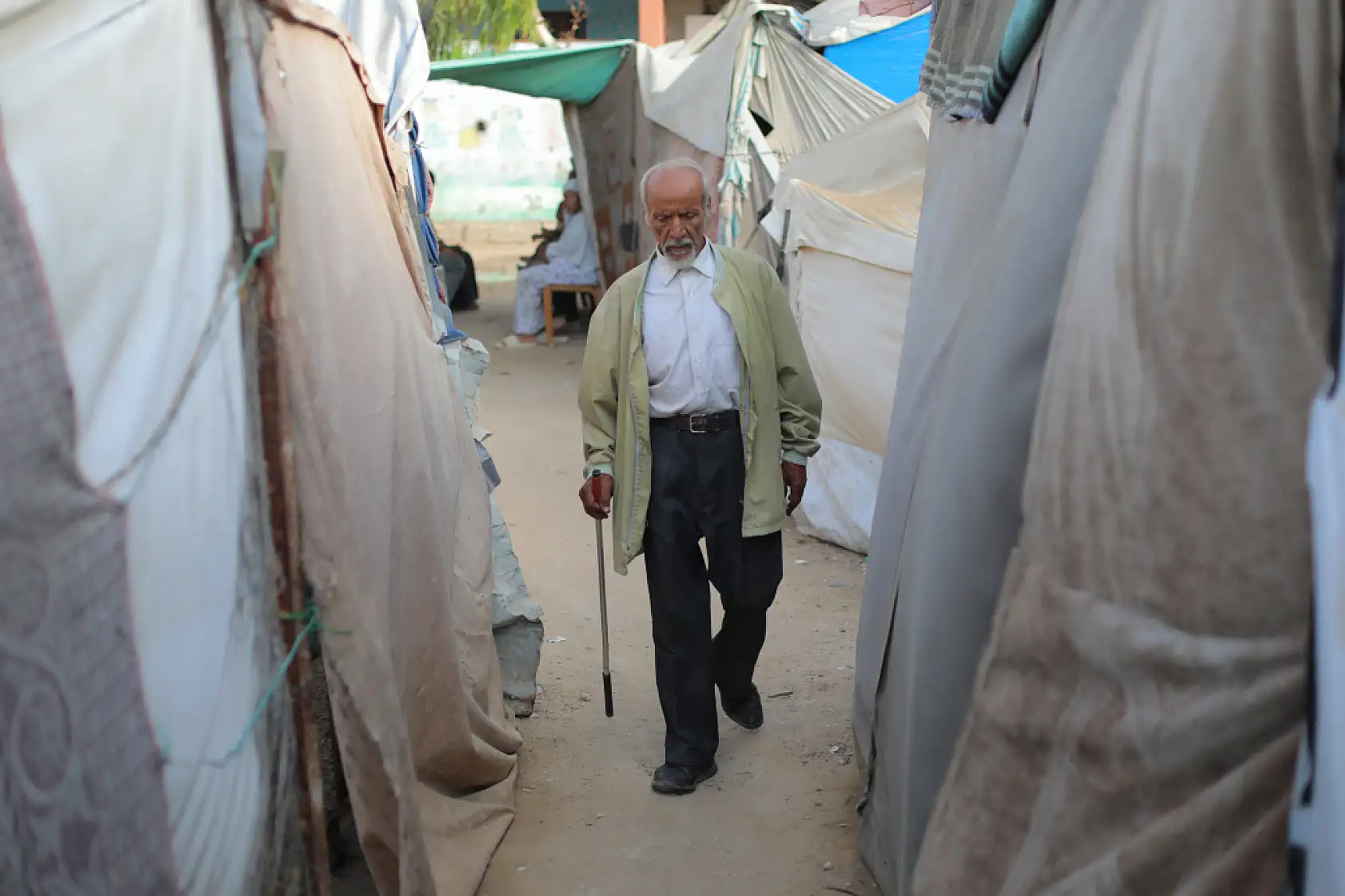 80 yaşındaki akademisyen hayatta kalma mücadelesi veriyor