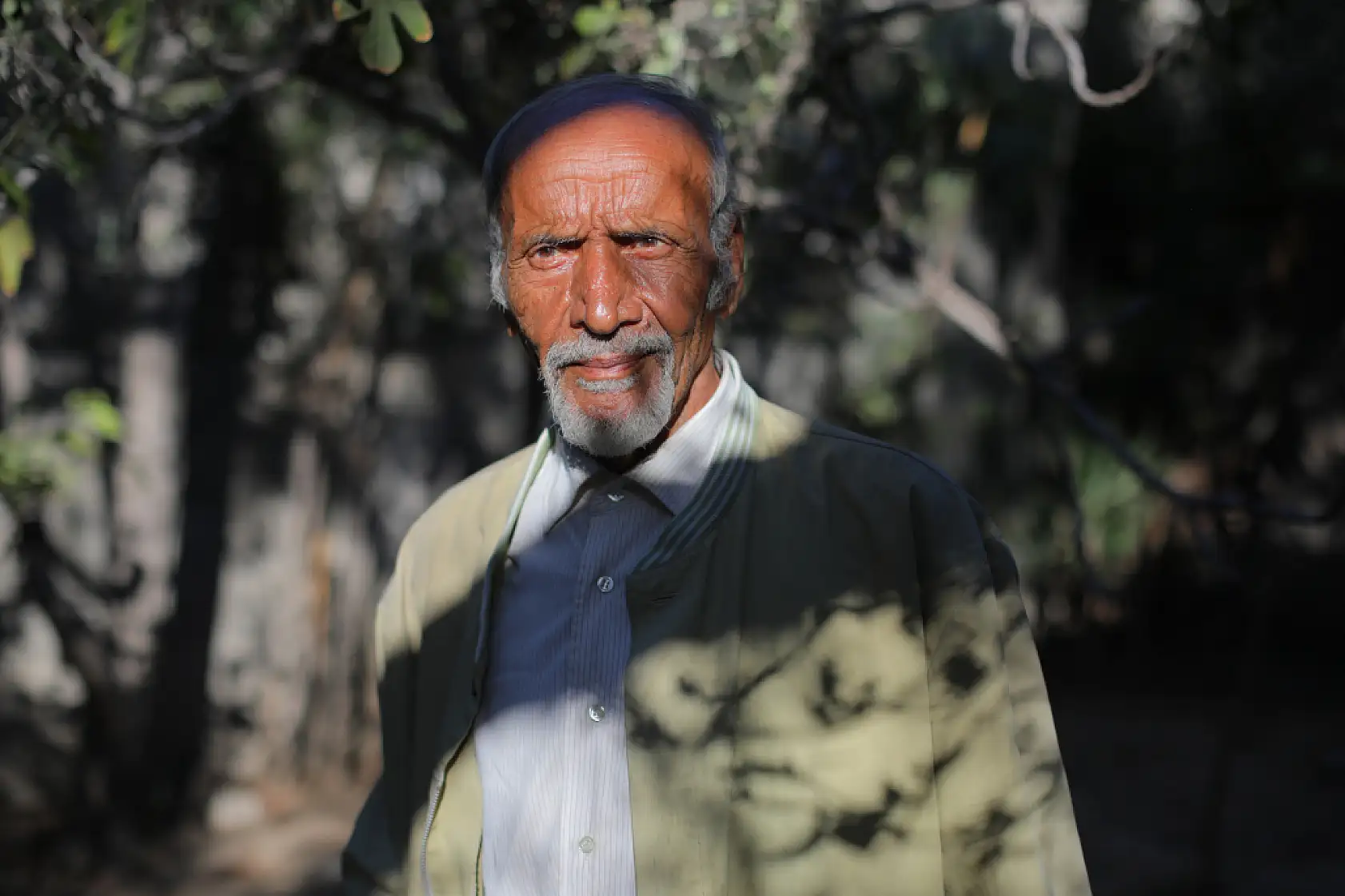 80 yaşındaki akademisyen hayatta kalma mücadelesi veriyor