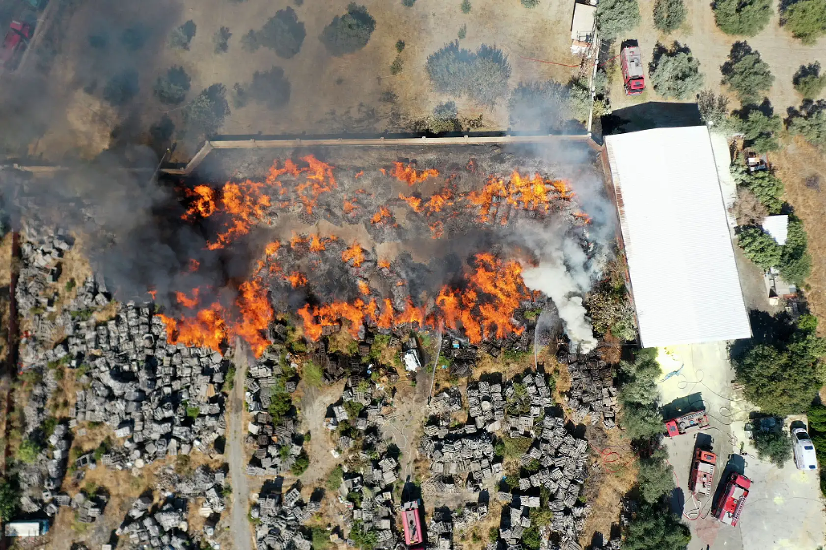 Palet fabrikasında yangın paniği: Müdahale sürüyor!