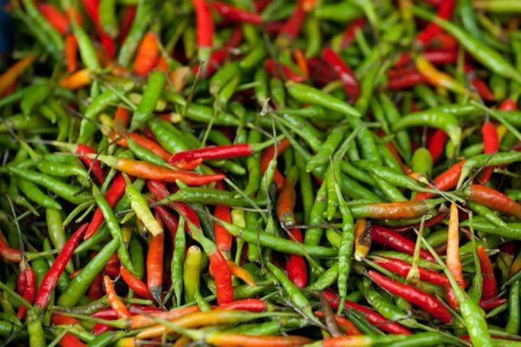 Diyetisyenler şokta! Bu 3 besini sofraya koyan hızla zayıflıyor...