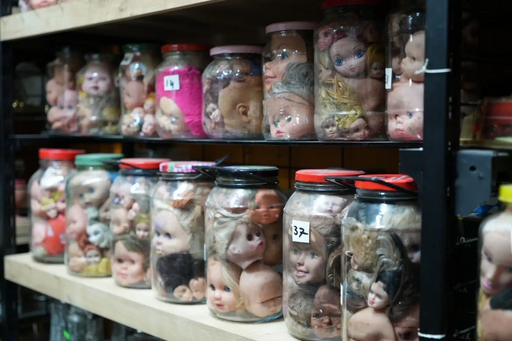 Kavanozlarda binlerce bebek kafası! 50 yıllık koleksiyon korku filmlerini aratmıyor