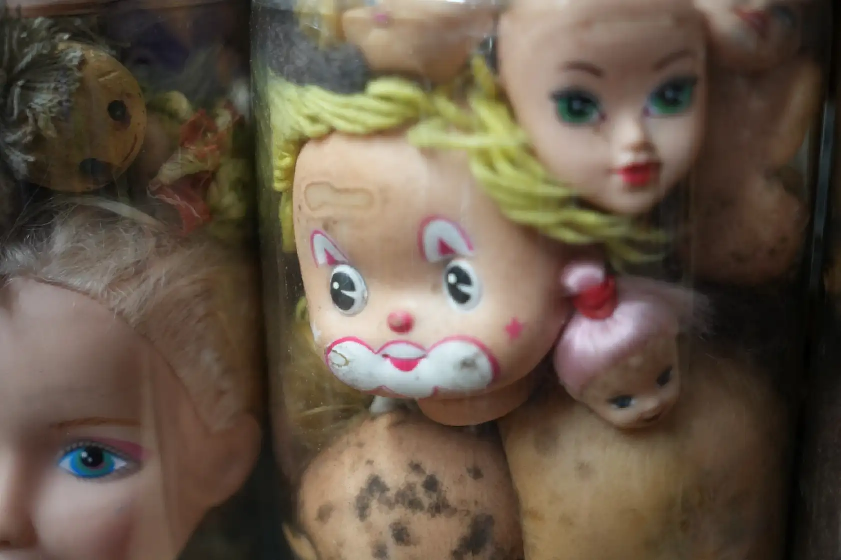 Kavanozlarda binlerce bebek kafası! 50 yıllık koleksiyon korku filmlerini aratmıyor