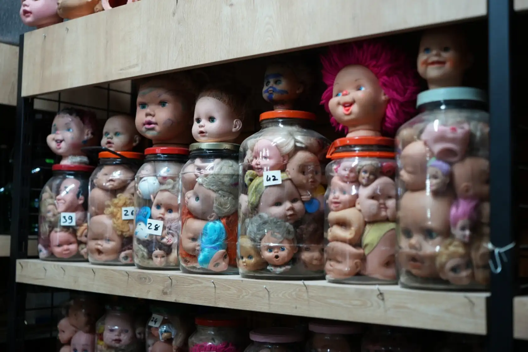 Kavanozlarda binlerce bebek kafası! 50 yıllık koleksiyon korku filmlerini aratmıyor