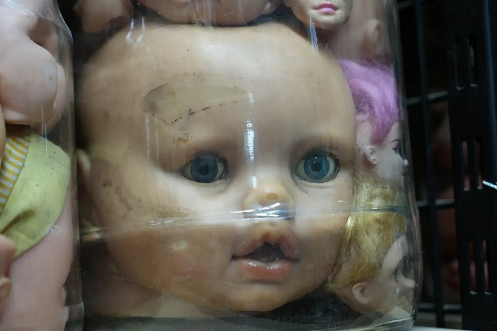 Kavanozlarda binlerce bebek kafası! 50 yıllık koleksiyon korku filmlerini aratmıyor