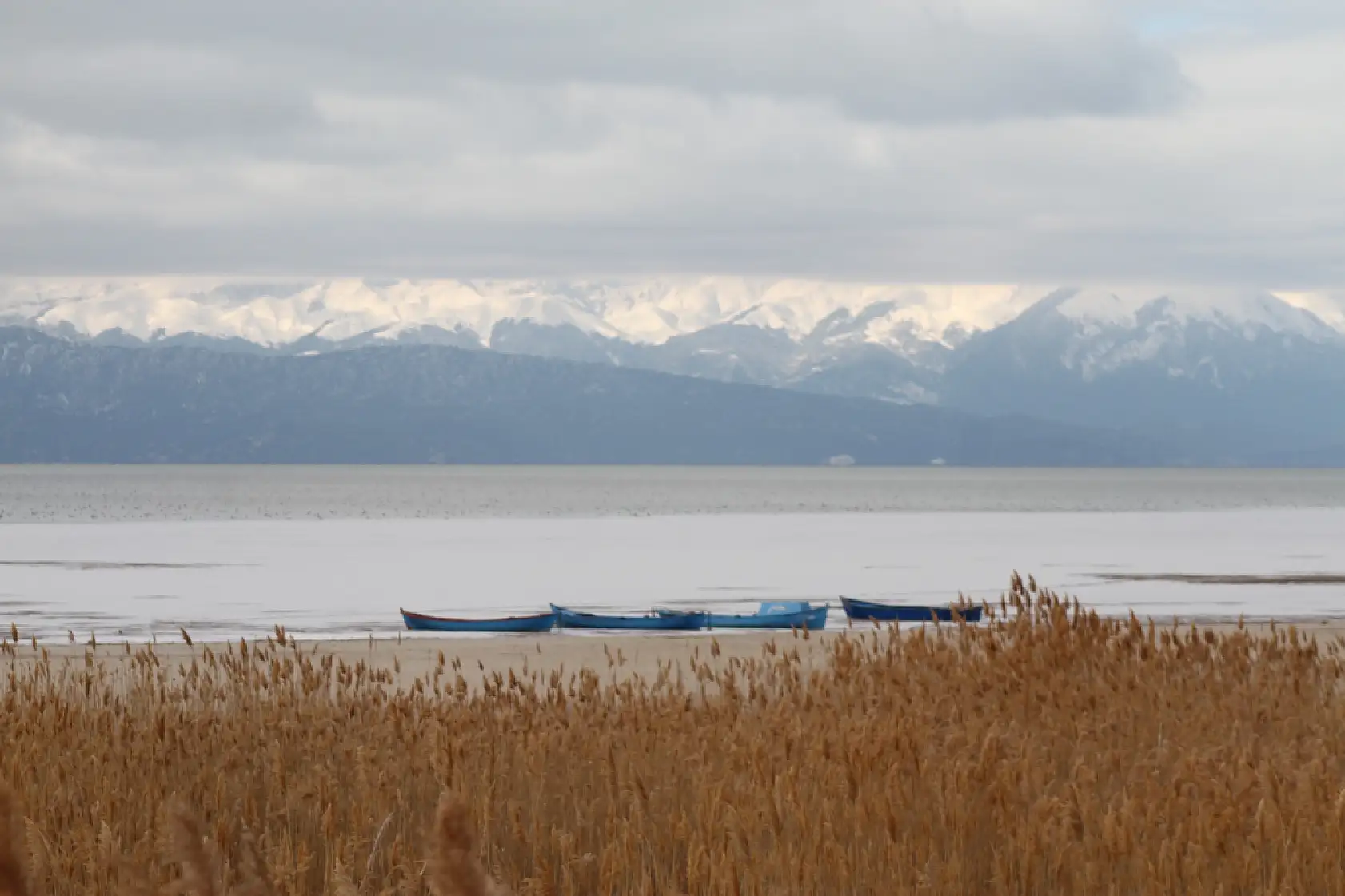 Ayaz vurdu, göl dondu: Beyşehir'de balıkçıda kuşta zorda
