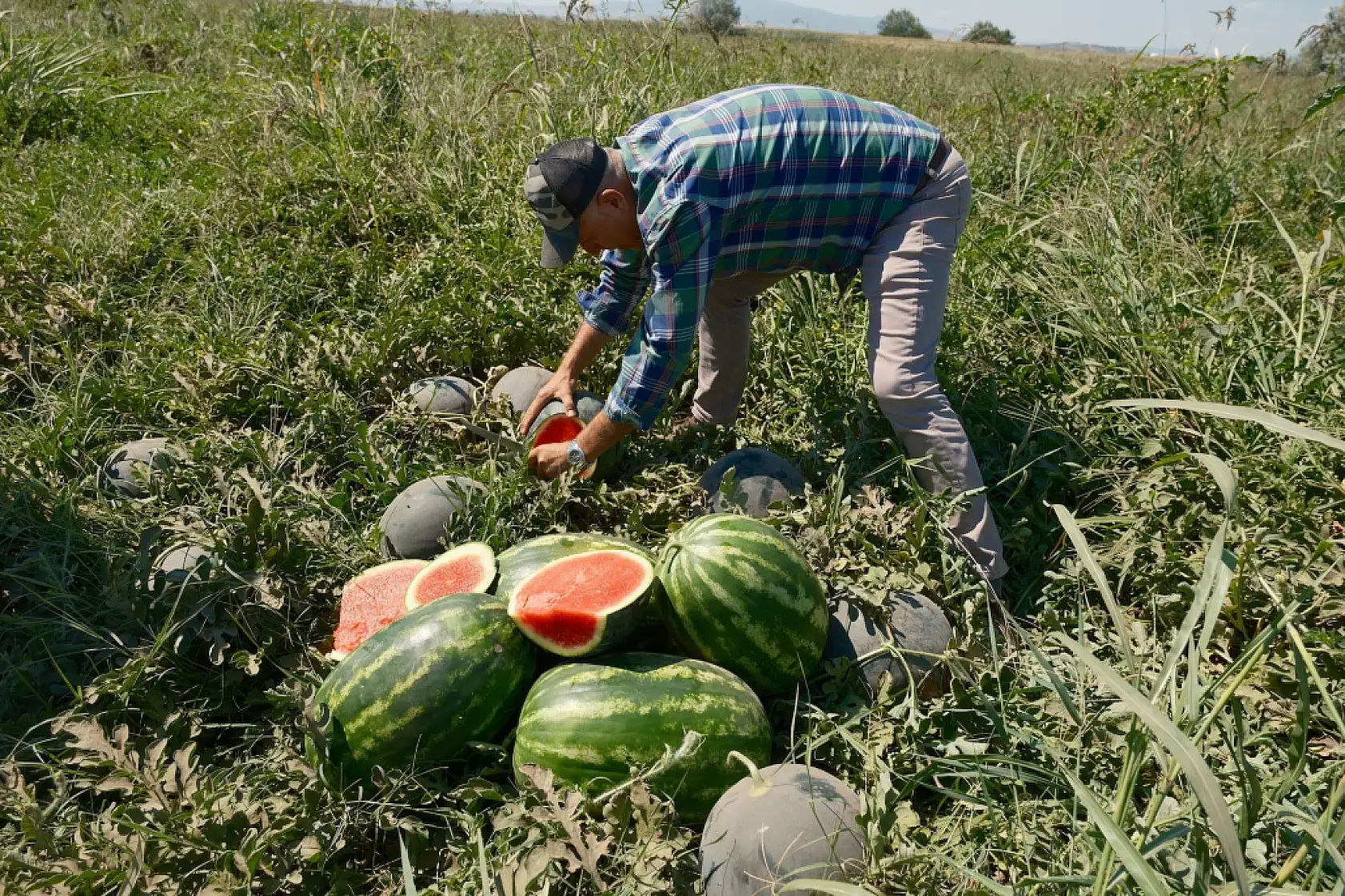 Konyalı firmayla yaşadığı mağduriyet tarlasını değiştirdi!
